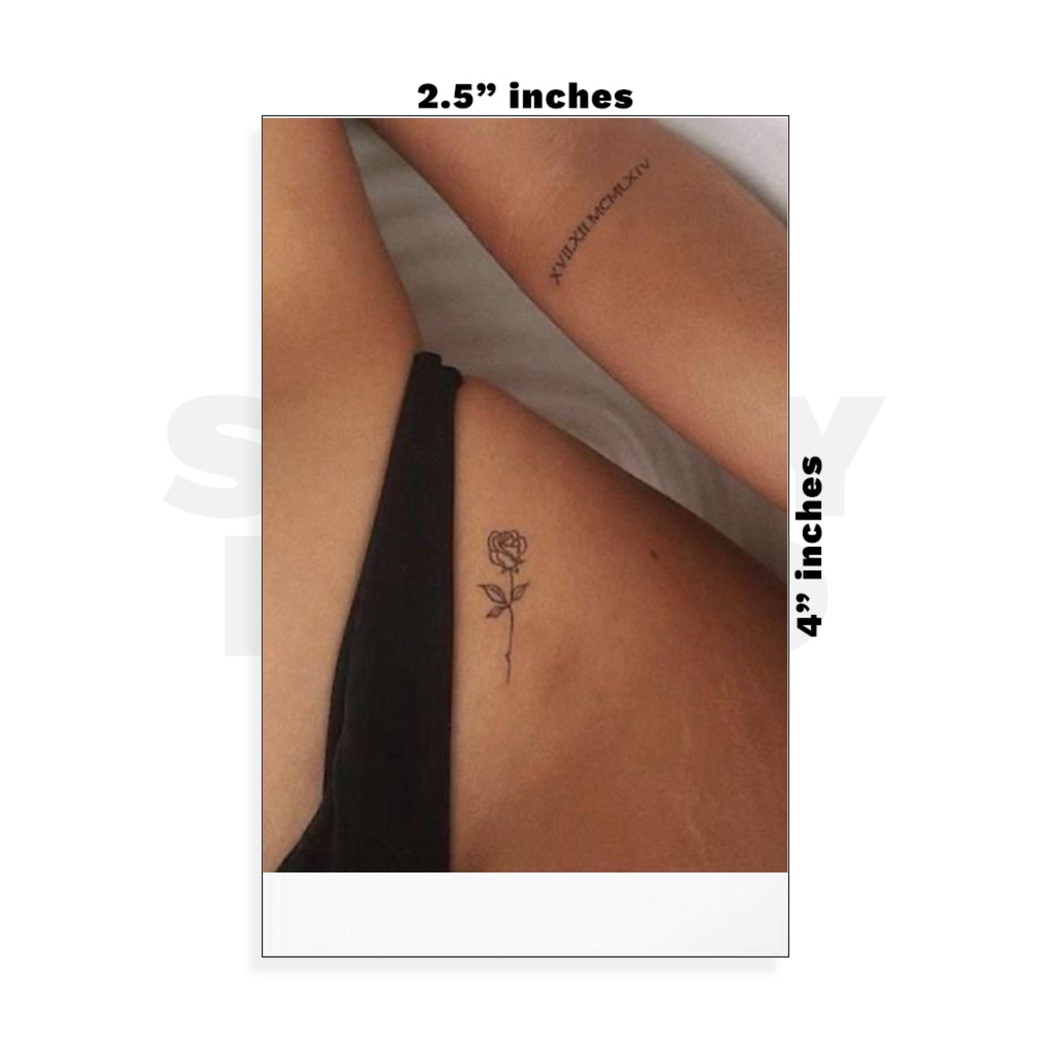Custom Small - 2.5in x 4in