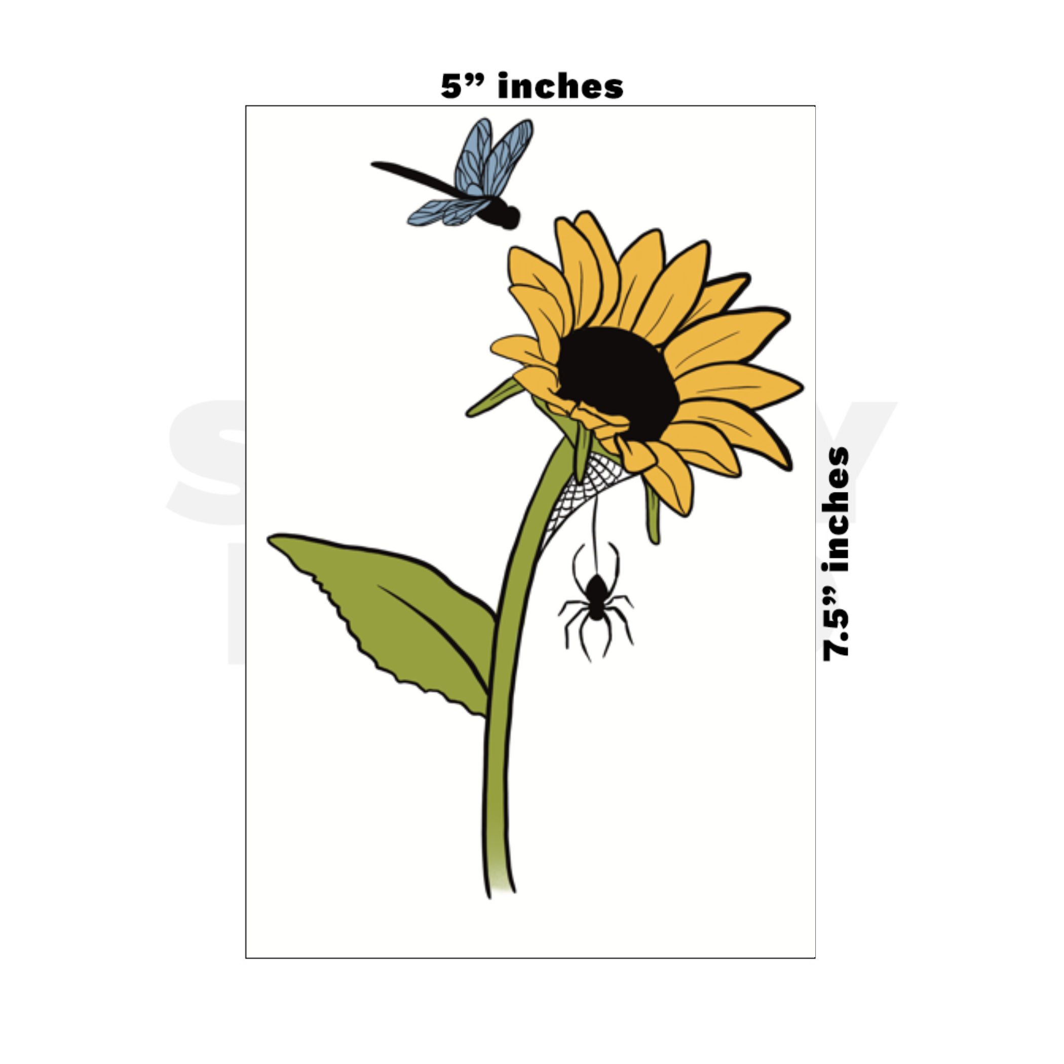 Custom Medium - 5in x 7.5in