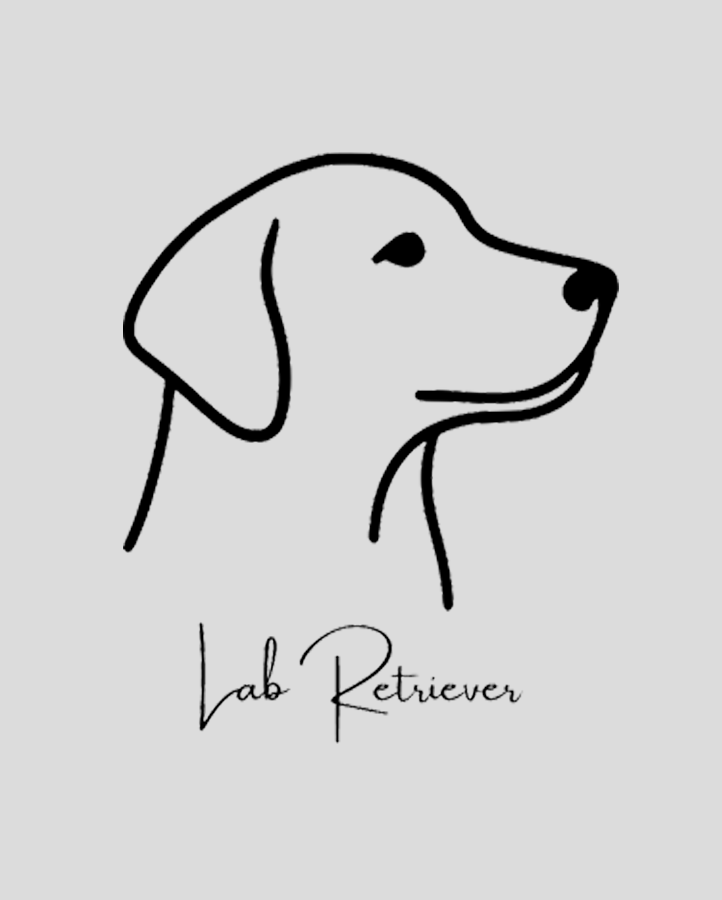 Lab Retriever - Semi Permanent