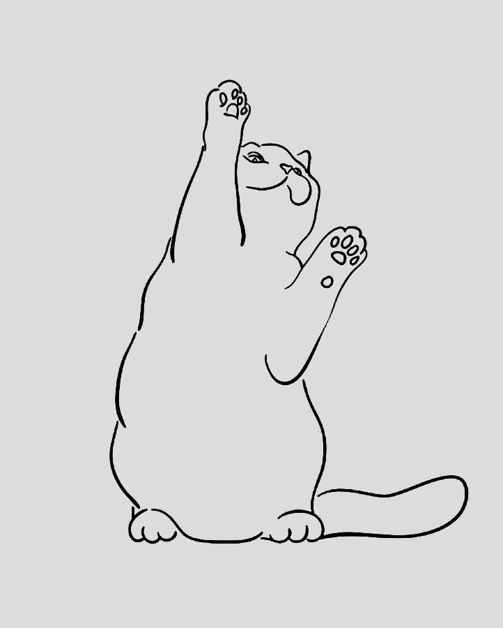 #4 Cat Position - Semi Permanent