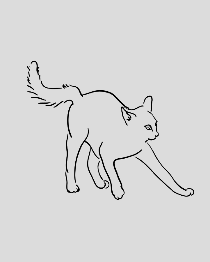 #3 Cat Position - Semi Permanent