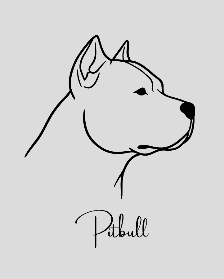 Pitbull - Semi Permanent