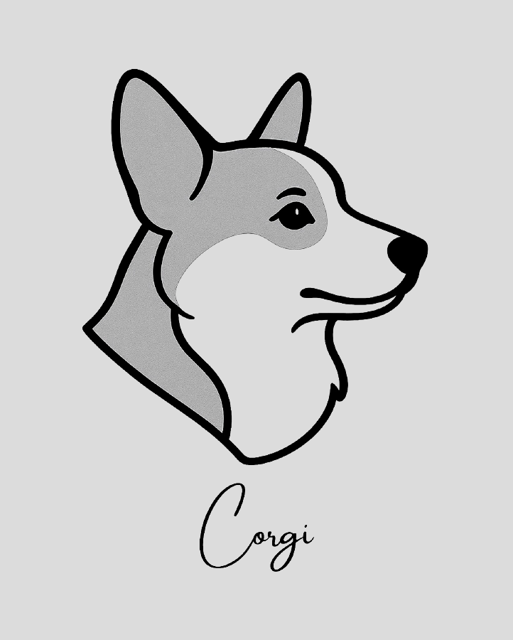 Corgi - Semi Permanent
