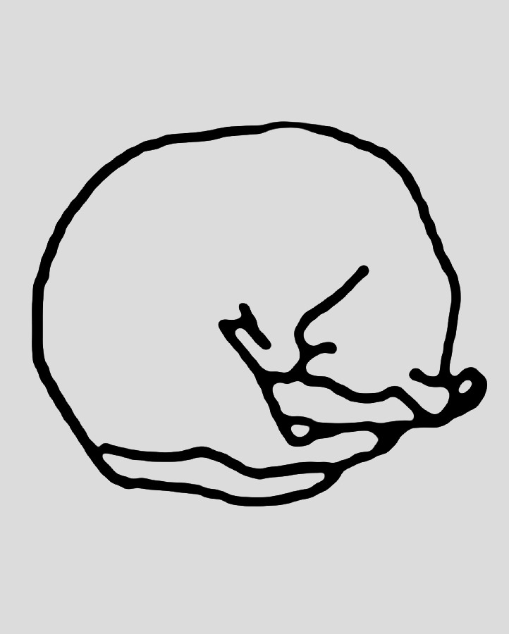 #2 Cat Position - Semi Permanent