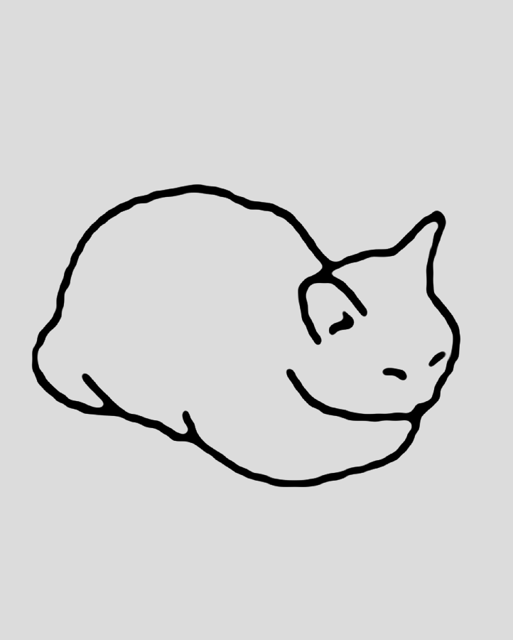 #5 Cat Position - Semi Permanent