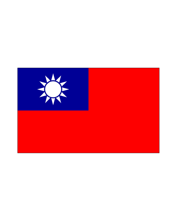Taiwan Flag Tattoo