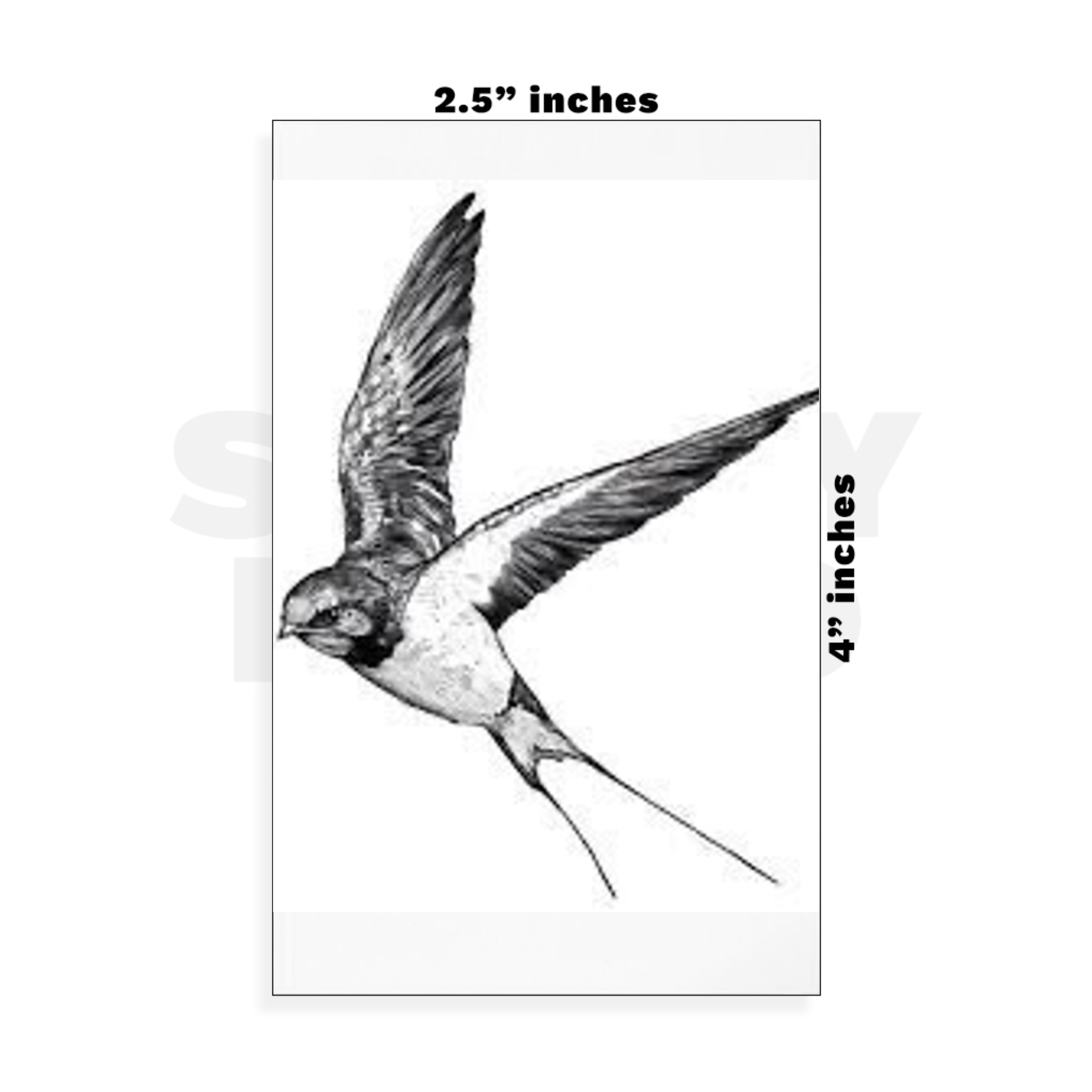 Custom Small - 2.5in x 4in