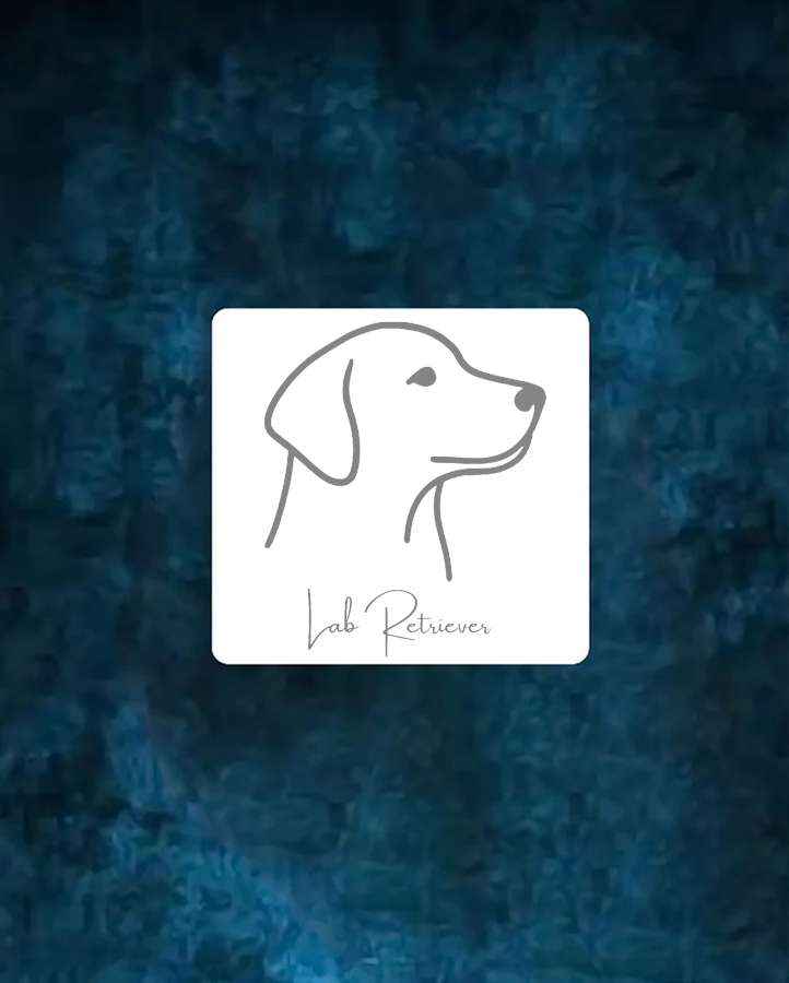 Lab Retriever - Semi Permanent