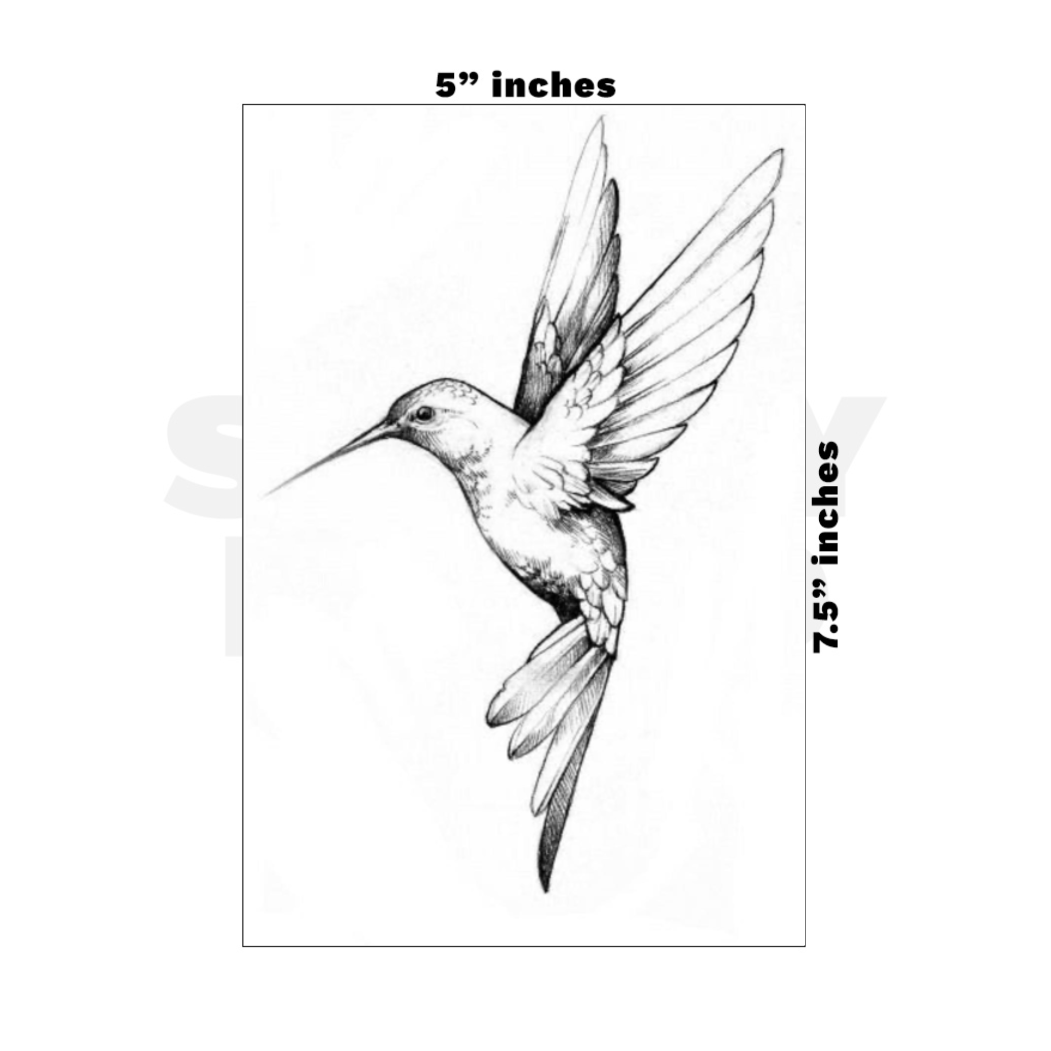 Custom Medium - 5in x 7.5in