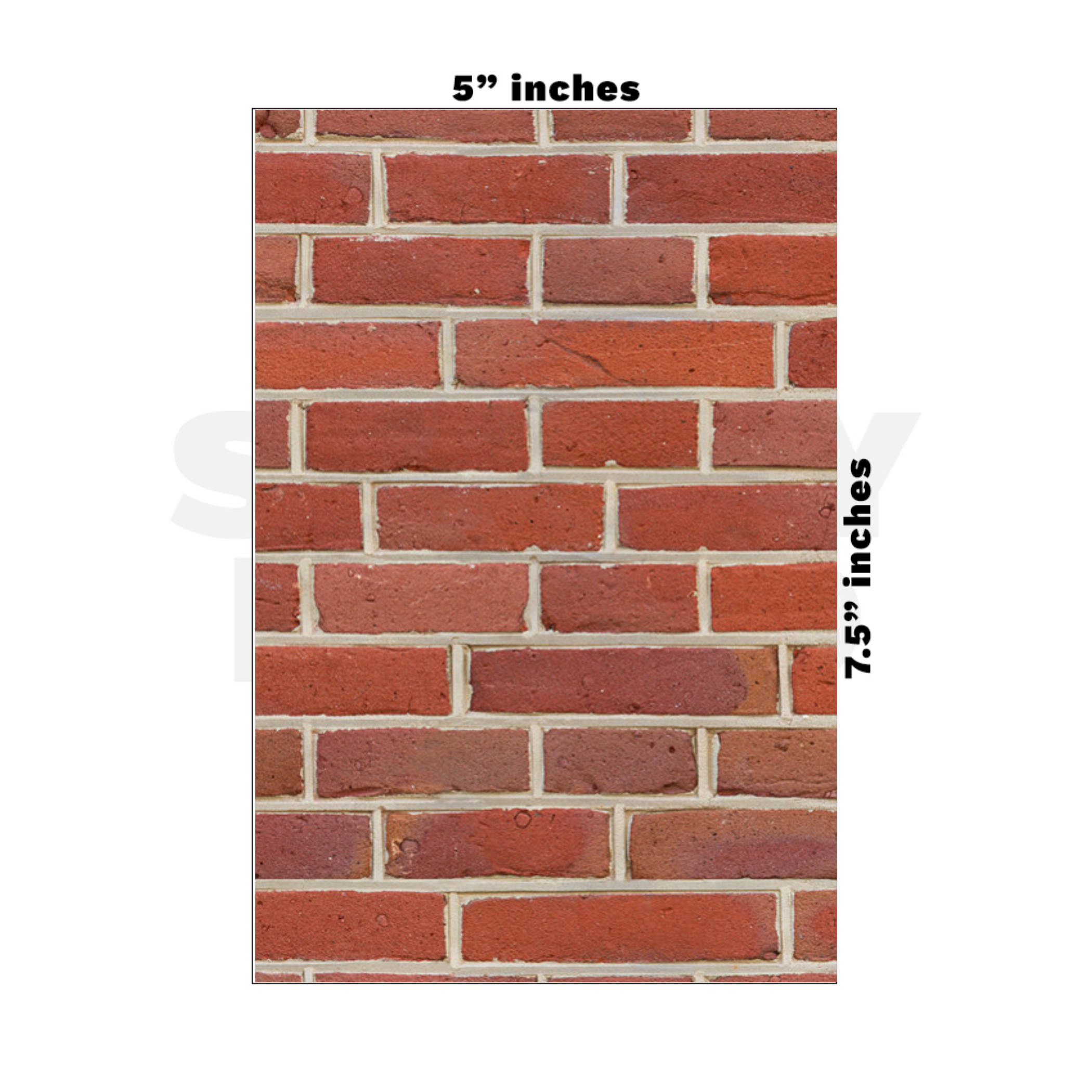 Custom Medium - 5in x 7.5in