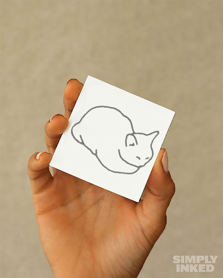 #5 Cat Position - Semi Permanent