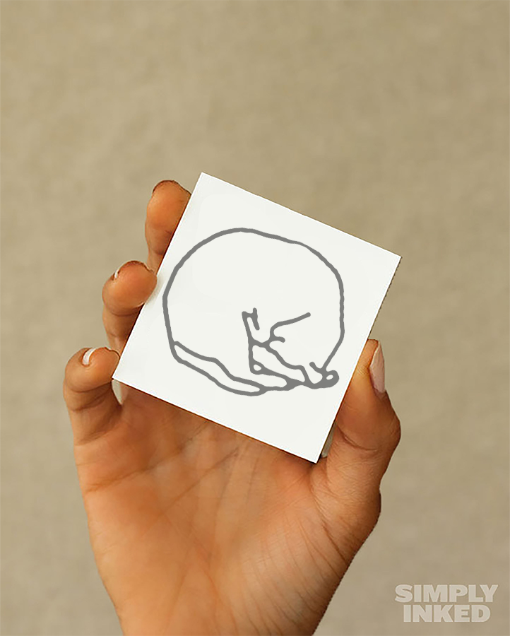 #2 Cat Position - Semi Permanent