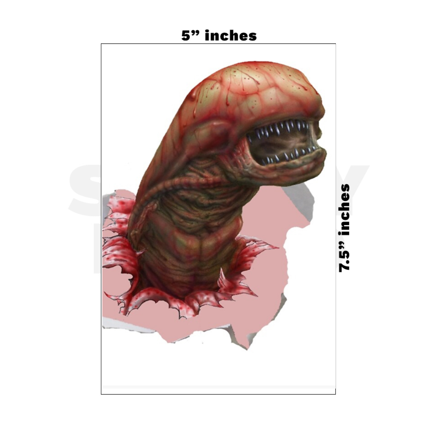 Custom Medium - 5in x 7.5in