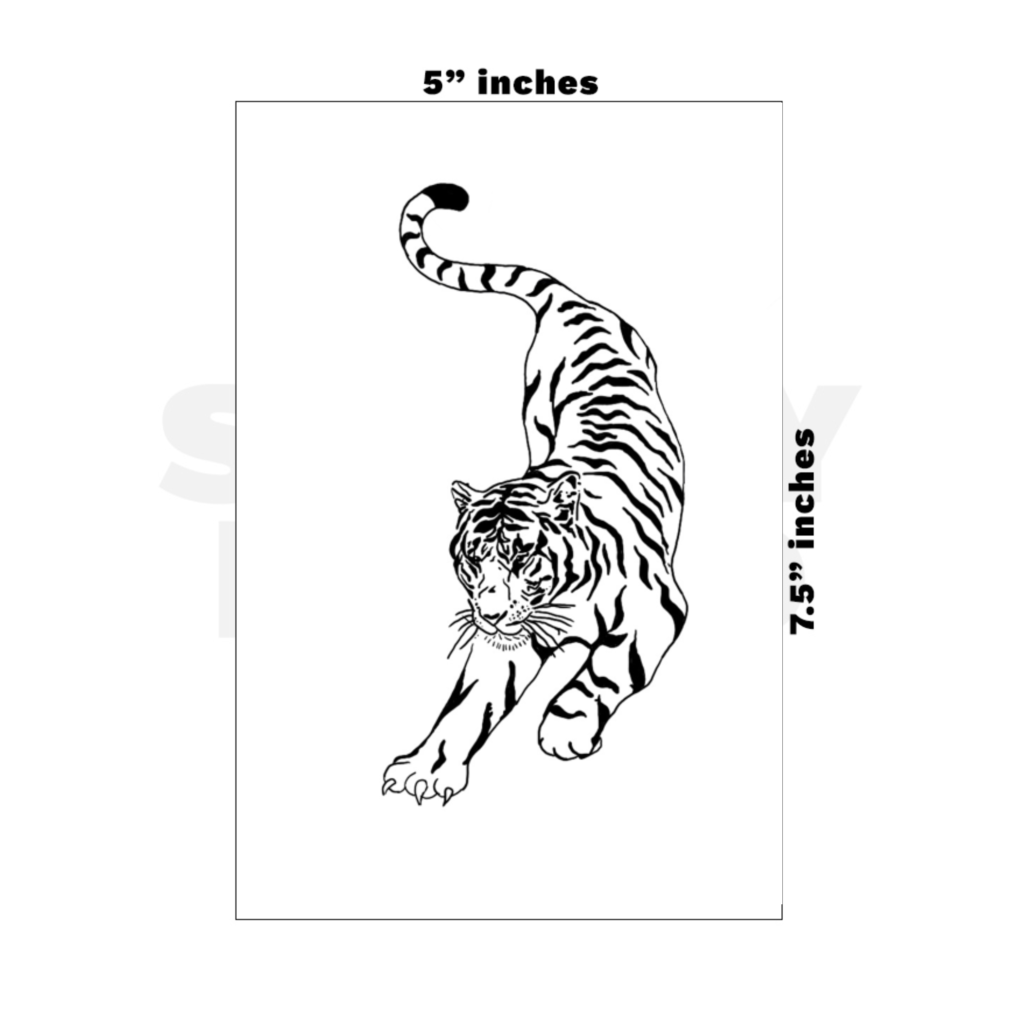 Custom Medium - 5in x 7.5in