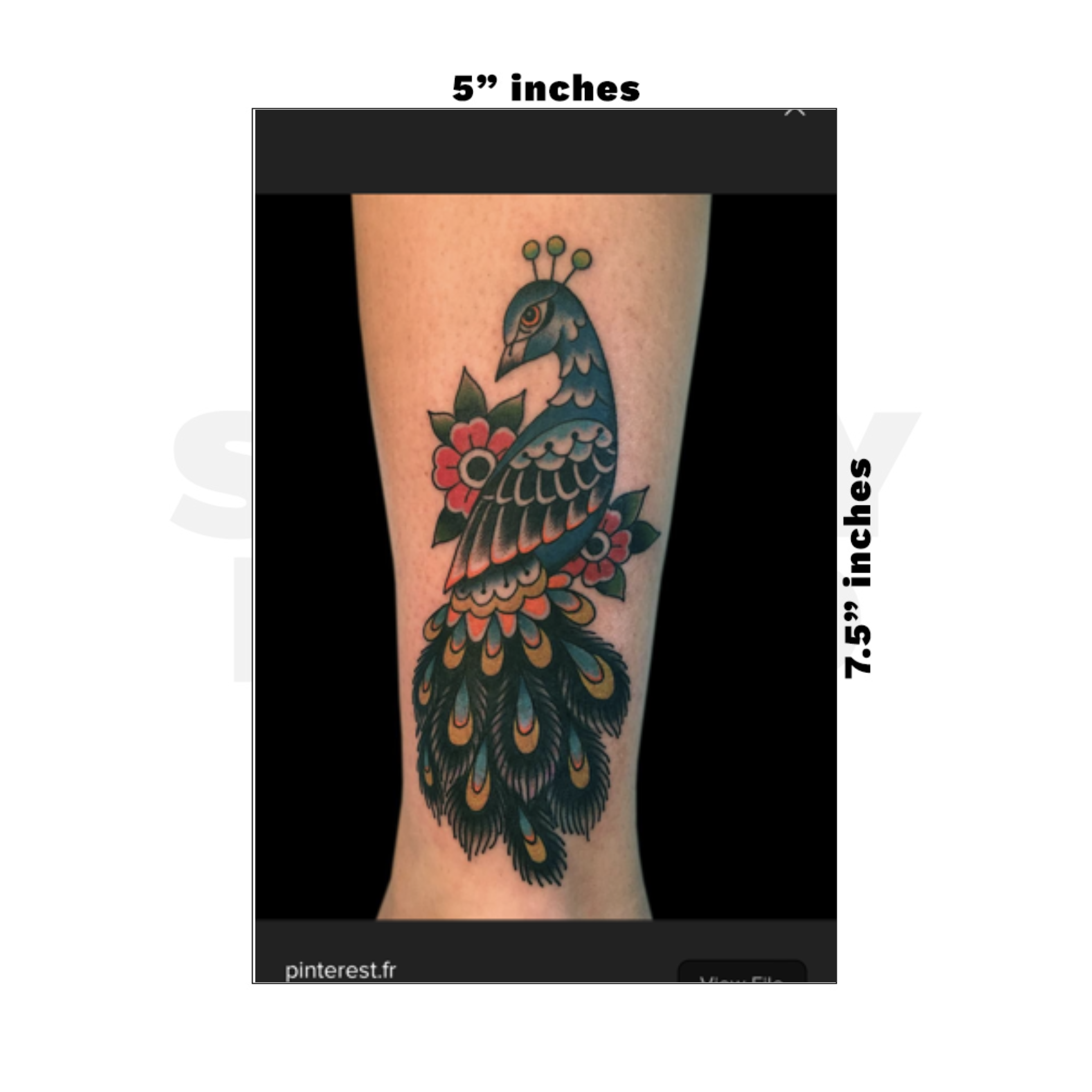 Custom Medium - 5in x 7.5in