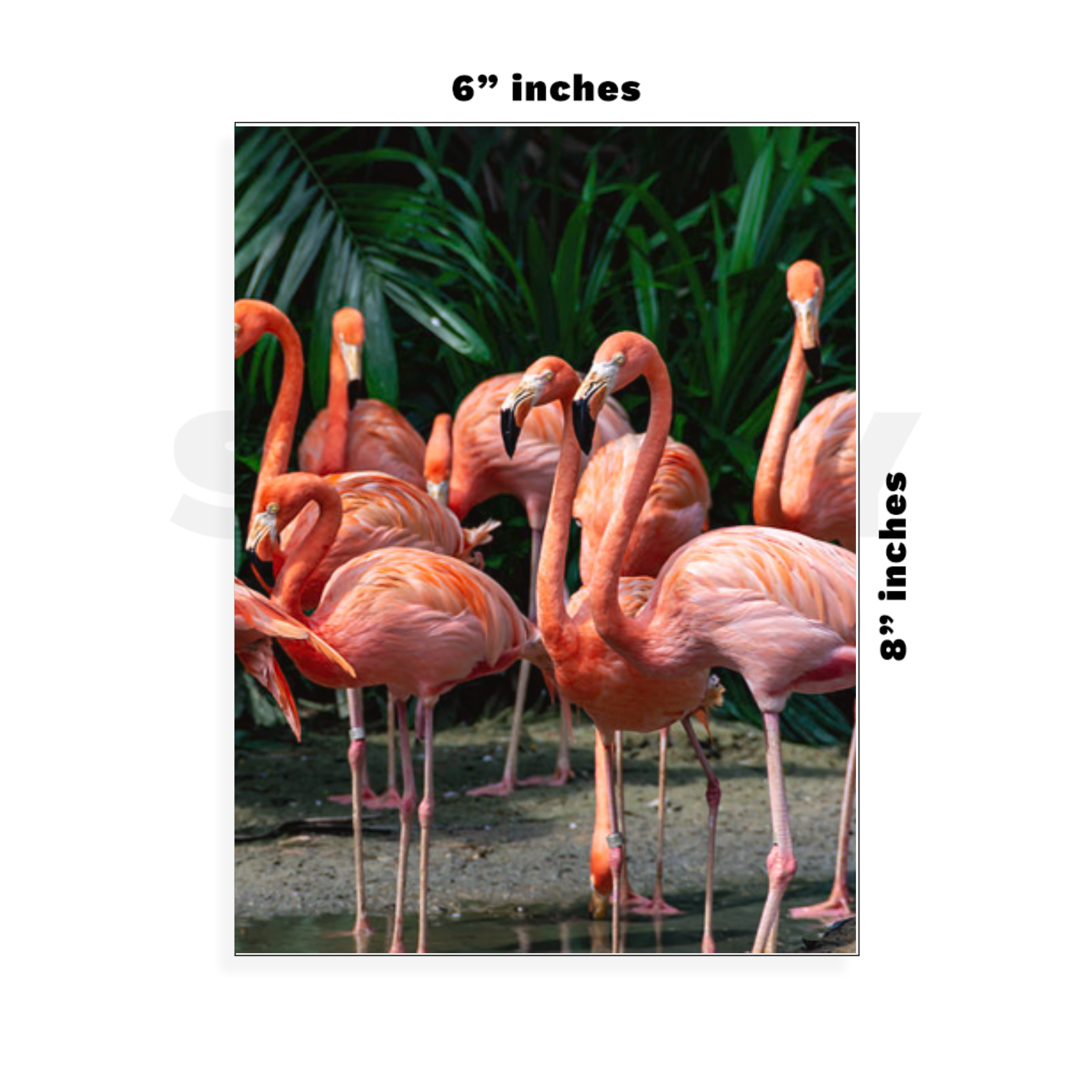 Custom Large - 6in x 8.5in