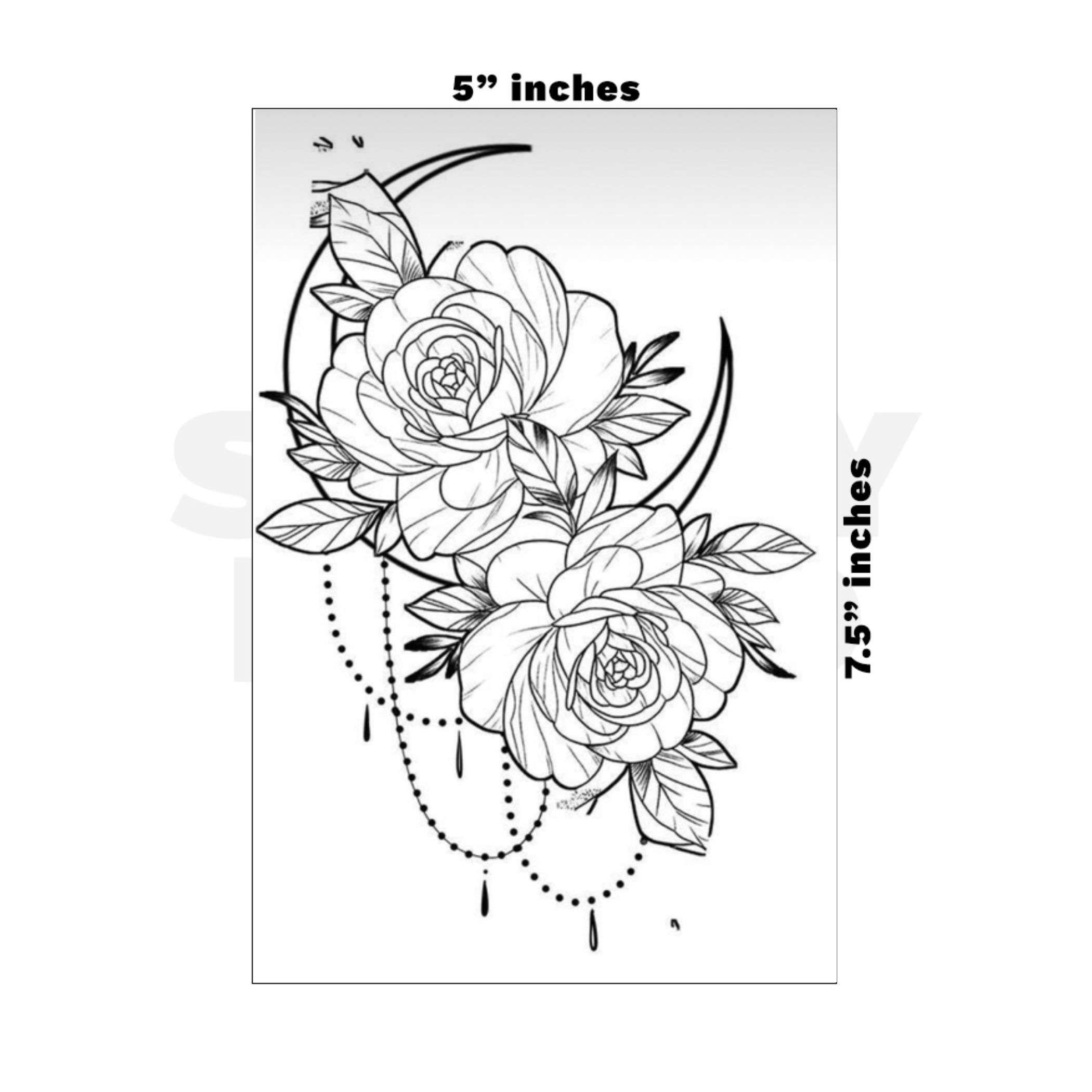 Custom Medium - 5in x 7.5in