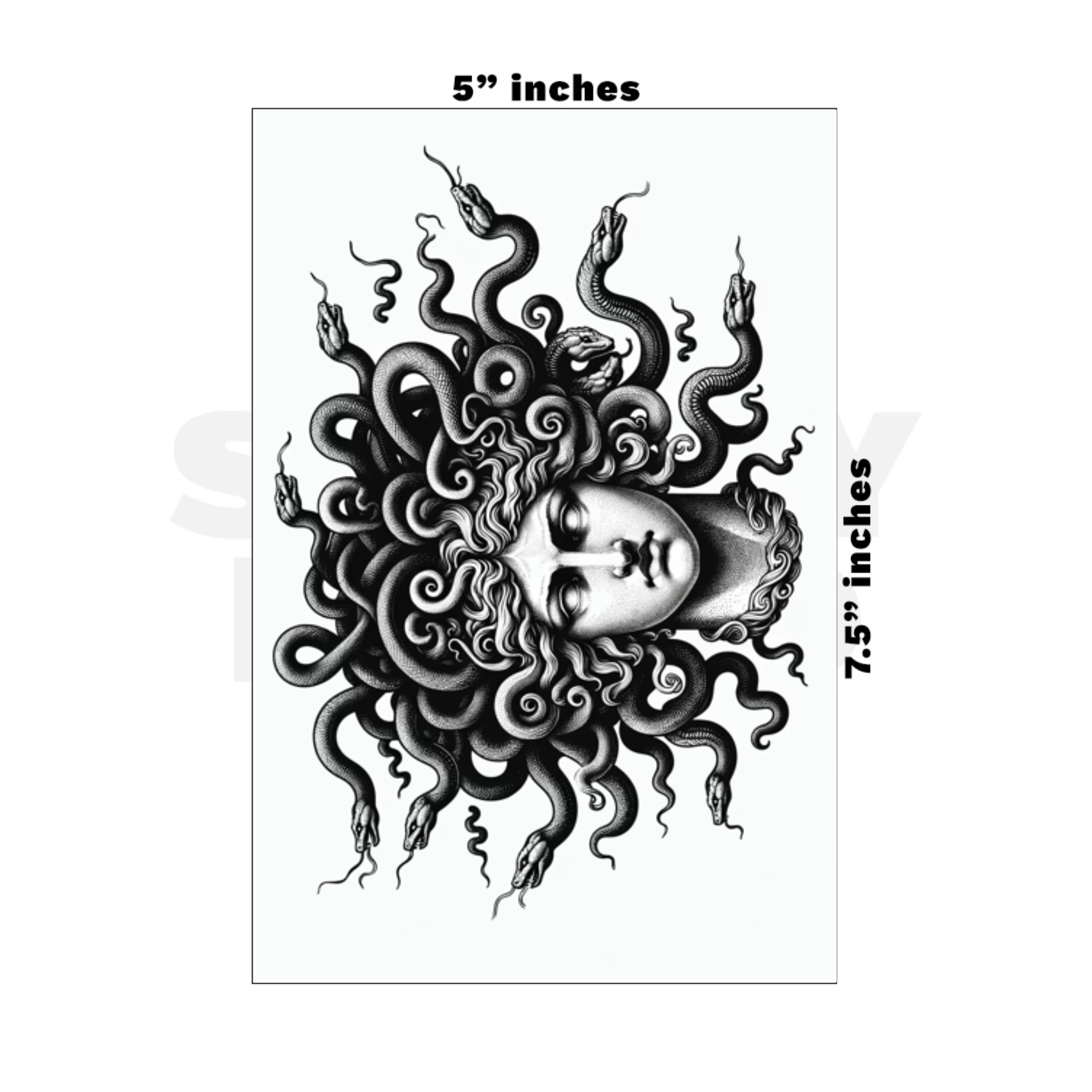 Custom Medium - 5in x 7.5in