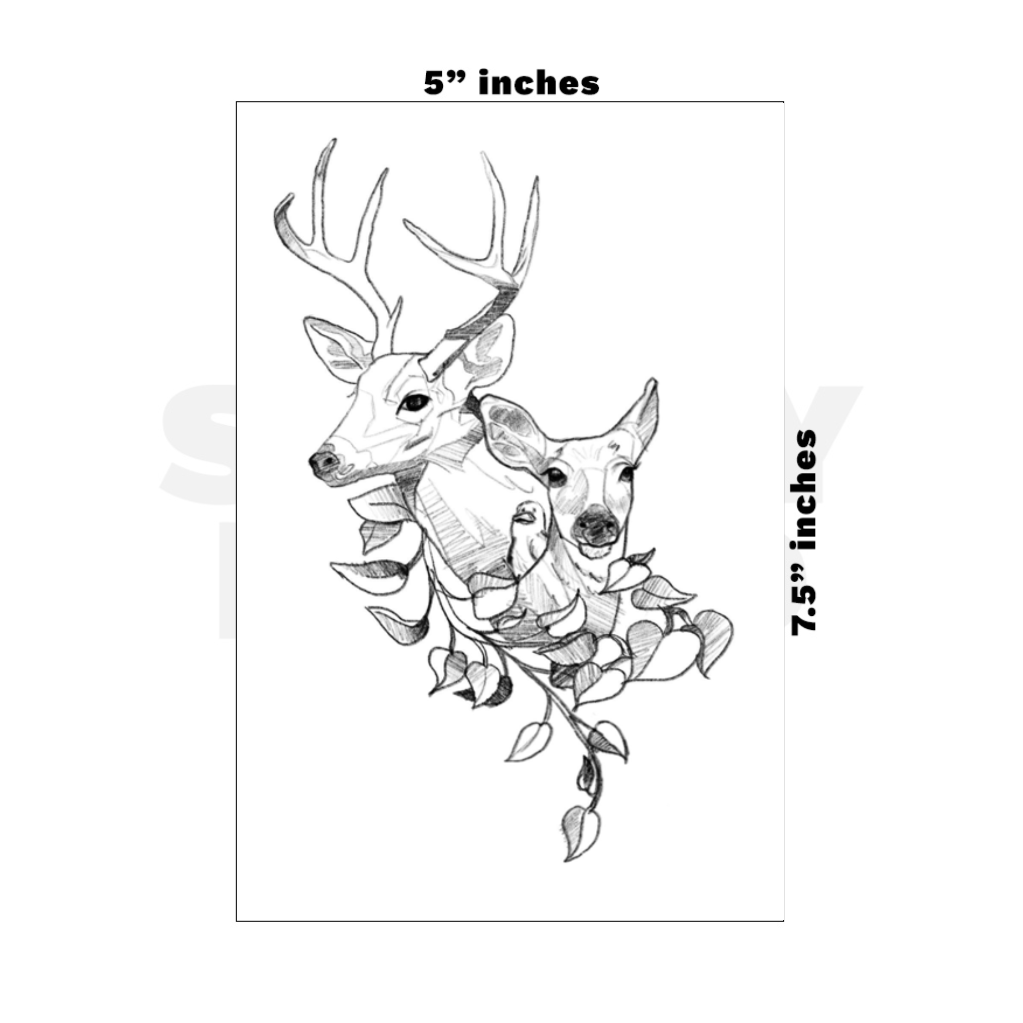 Custom Medium - 5in x 7.5in