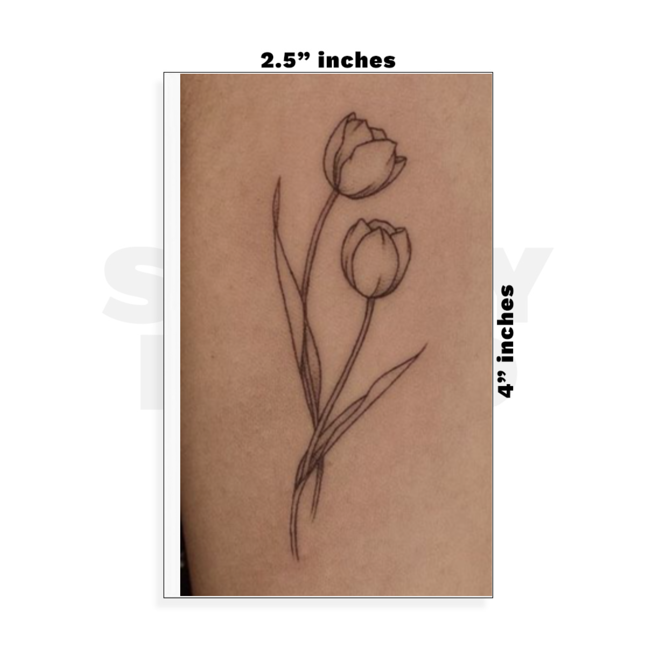 Custom Small - 2.5in x 4in