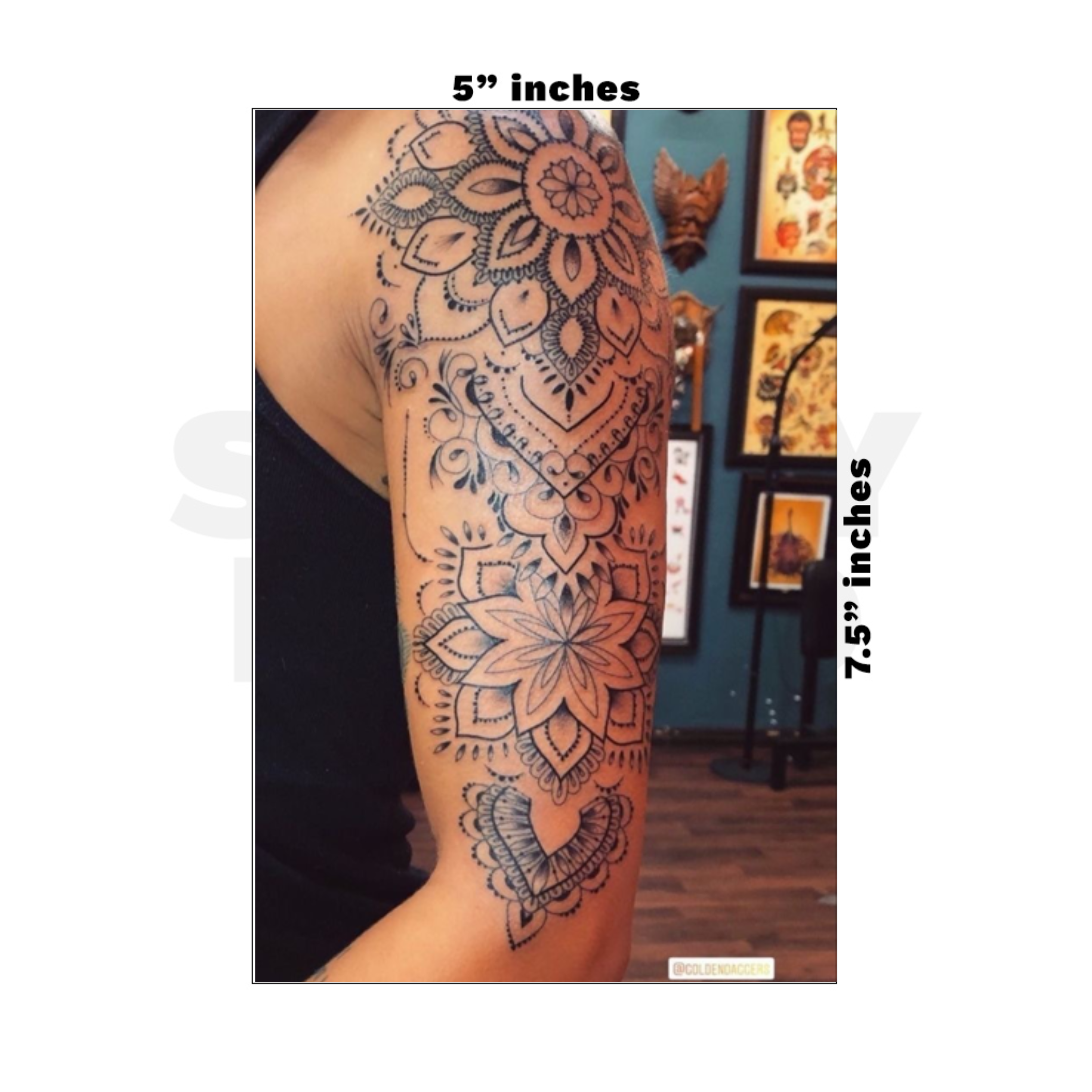 Custom Medium - 5in x 7.5in