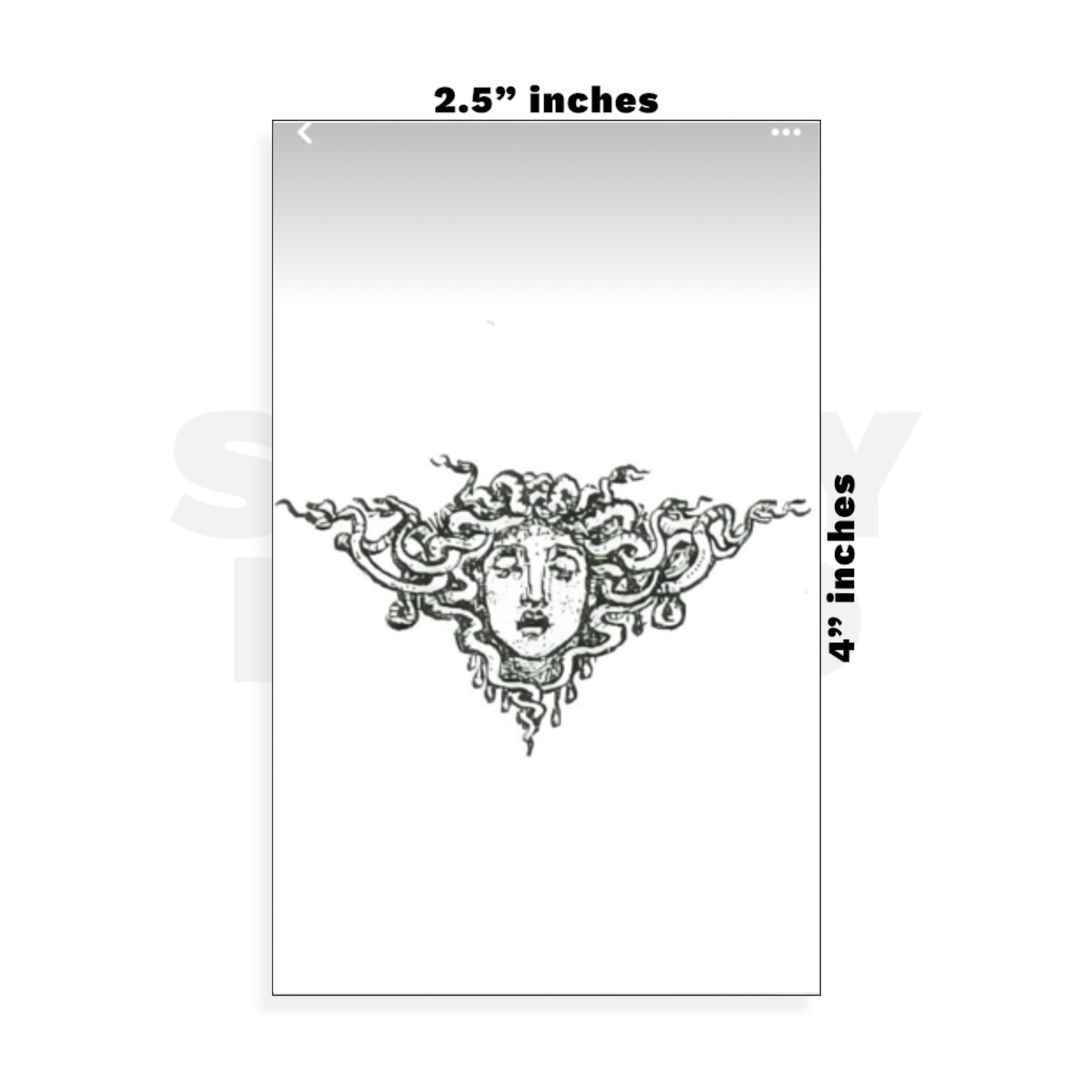 Custom Small - 2.5in x 4in
