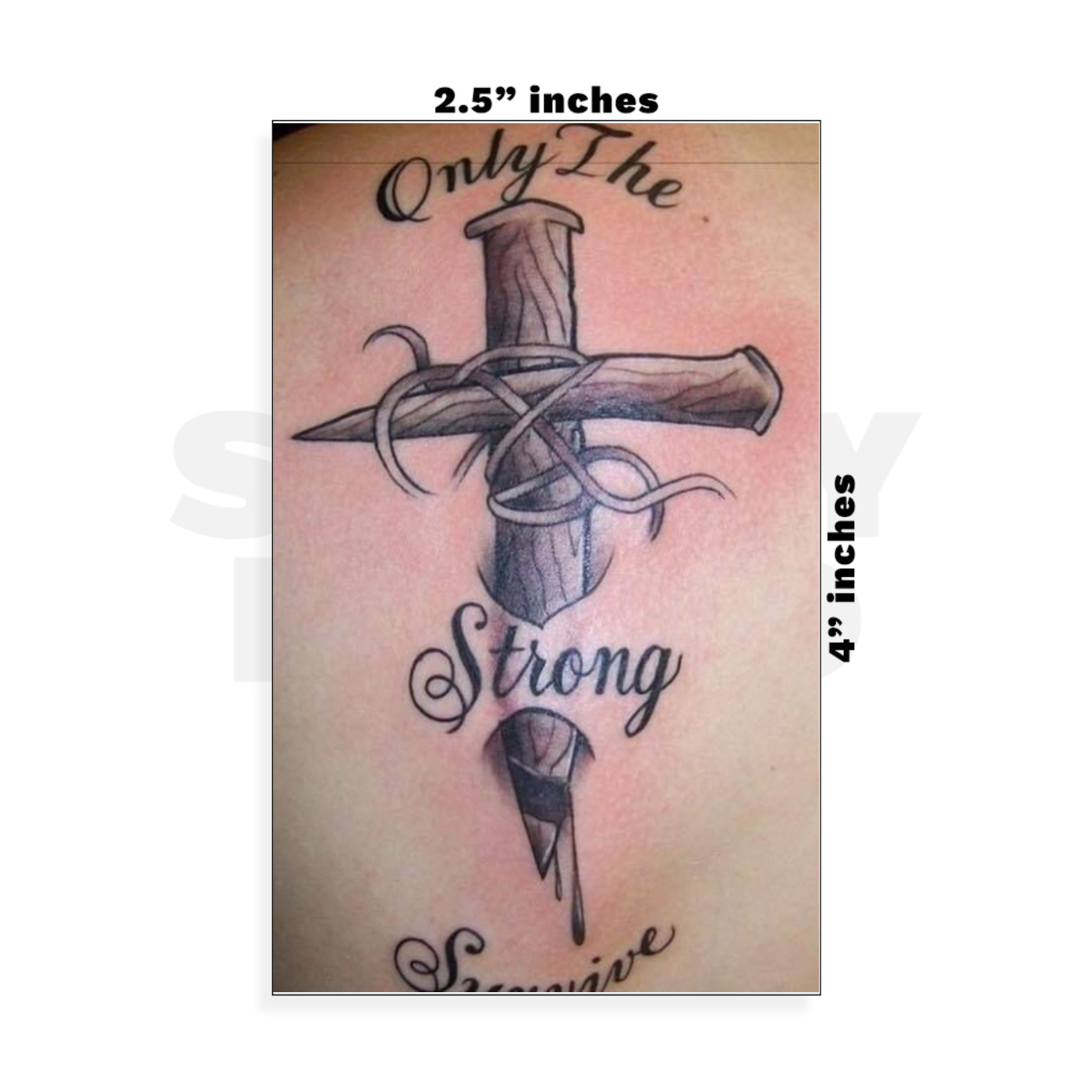 Custom Small - 2.5in x 4in