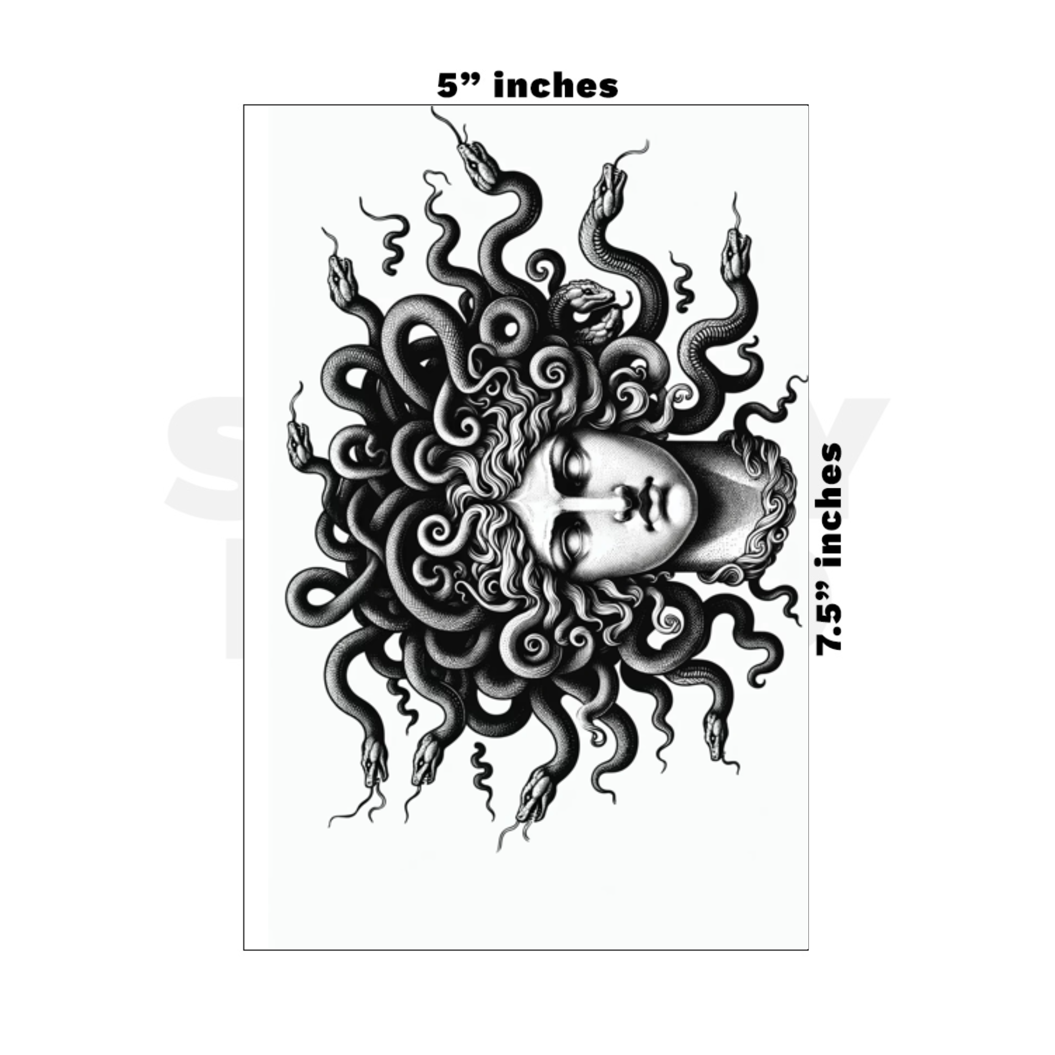 Custom Medium - 5in x 7.5in