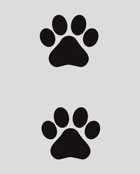 Paw Prints Tattoo - Semi Permanent