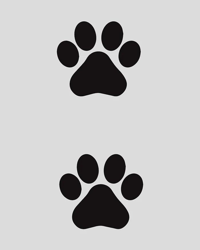 Paw Prints Tattoo - Semi Permanent