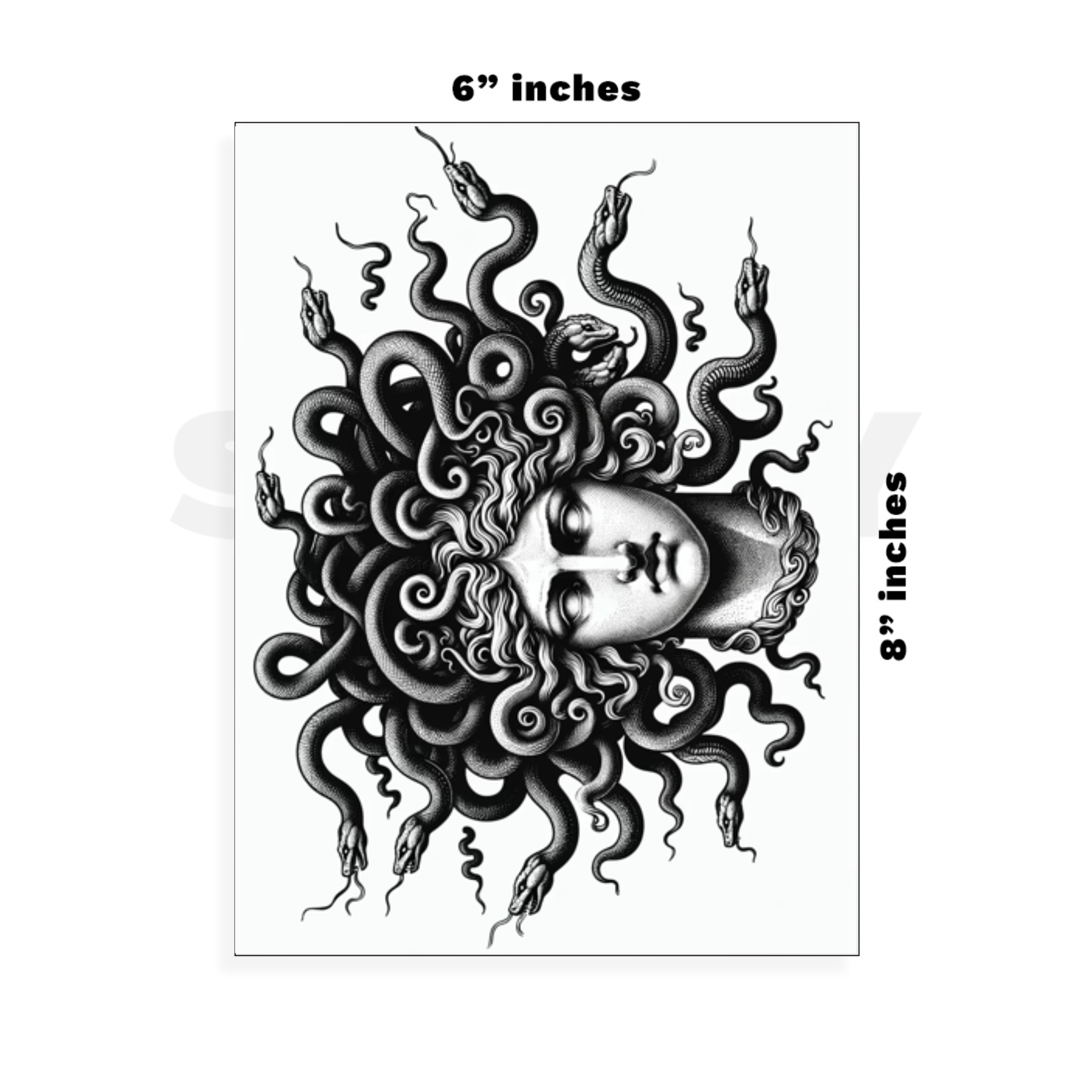 Custom Large - 6in x 8.5in