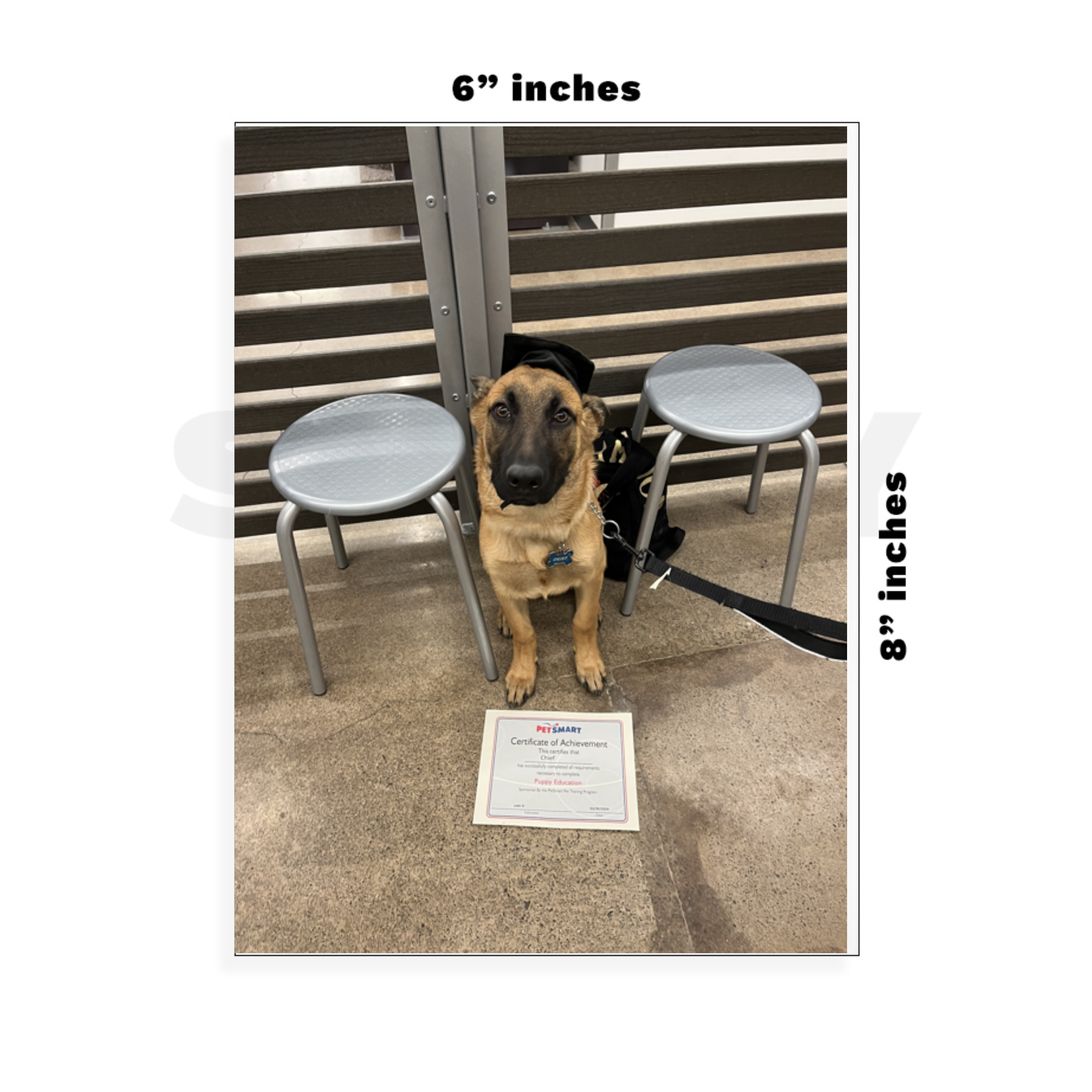 Custom Large - 6in x 8.5in