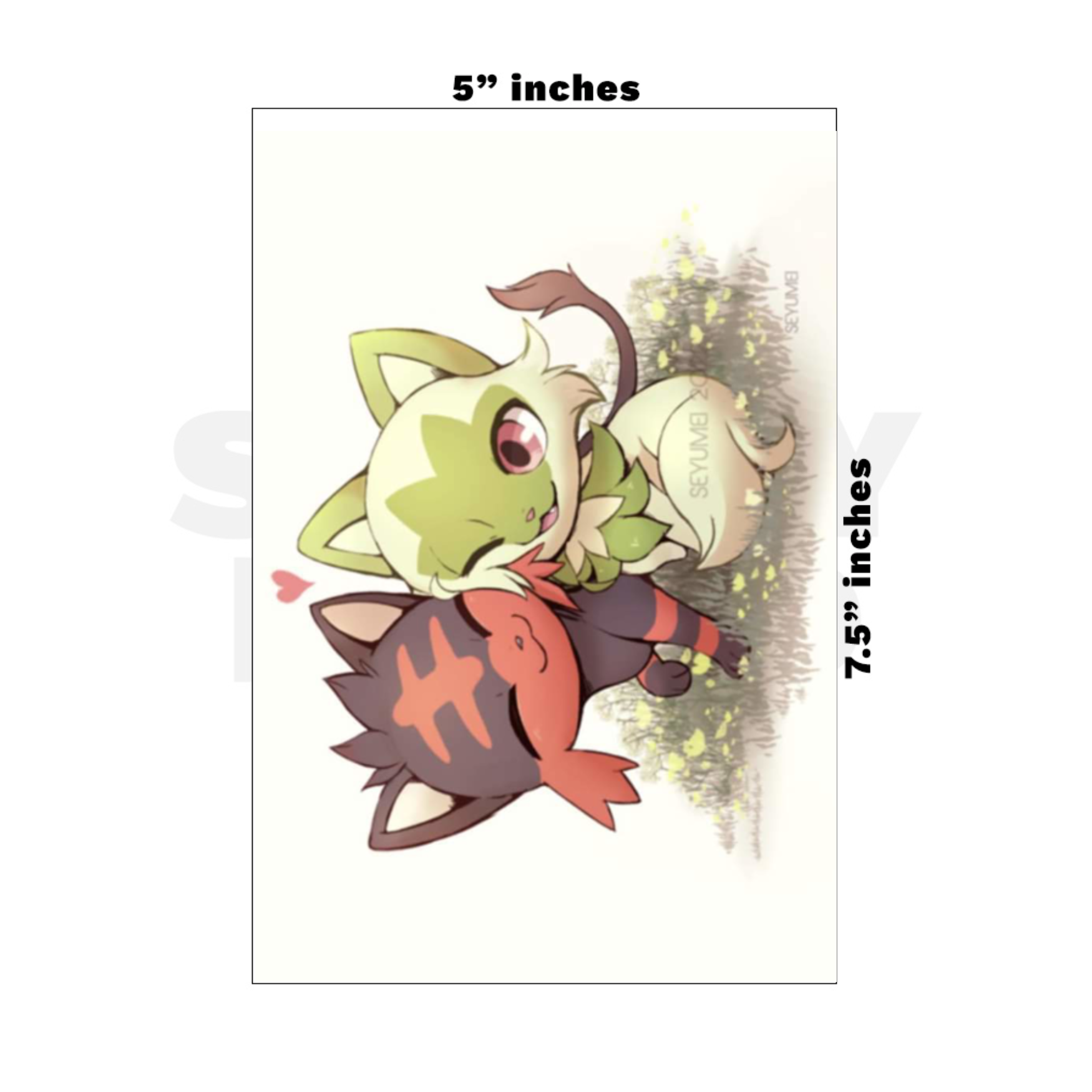 Custom Medium - 5in x 7.5in