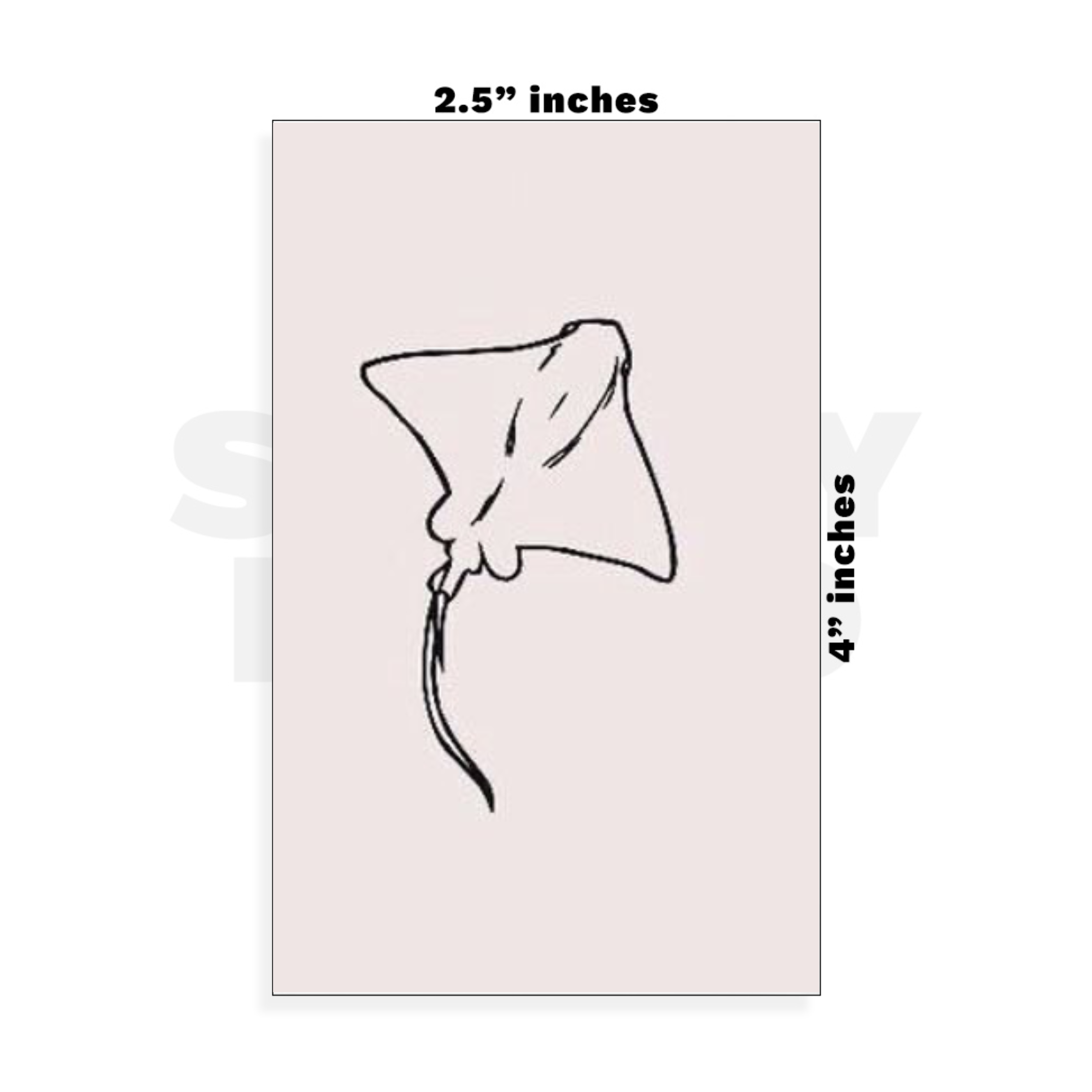 Custom Small - 2.5in x 4in