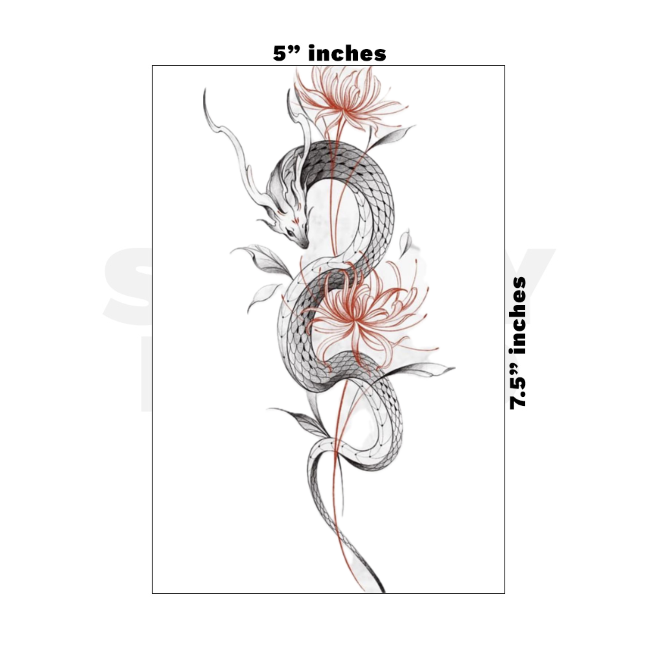 Custom Medium - 5in x 7.5in