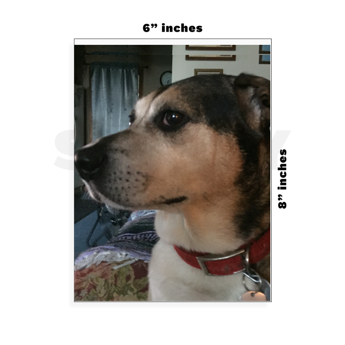 Custom Large - 6in x 8.5in