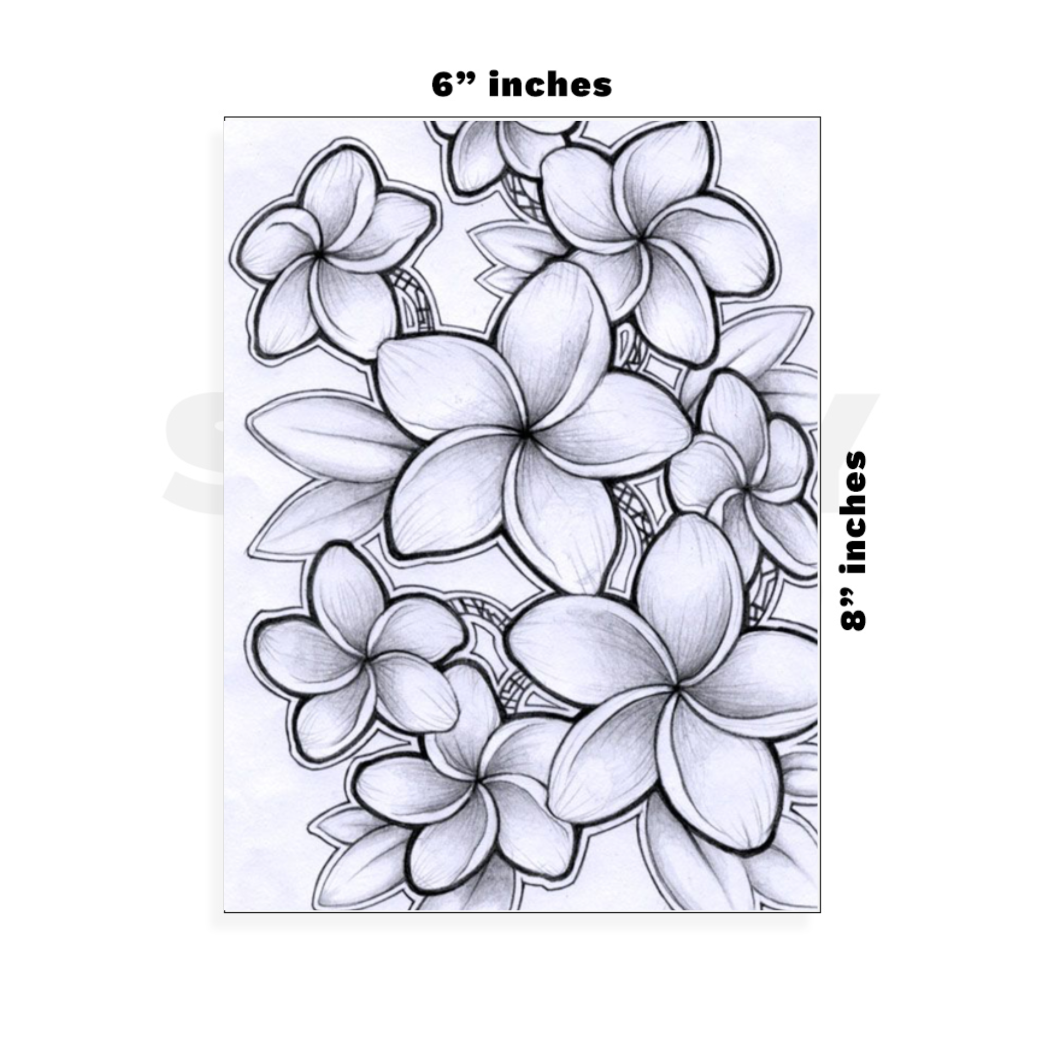 Custom Large - 6in x 8.5in