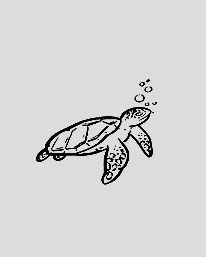 NEW Sea Turtle Tattoo - Semi Permanent