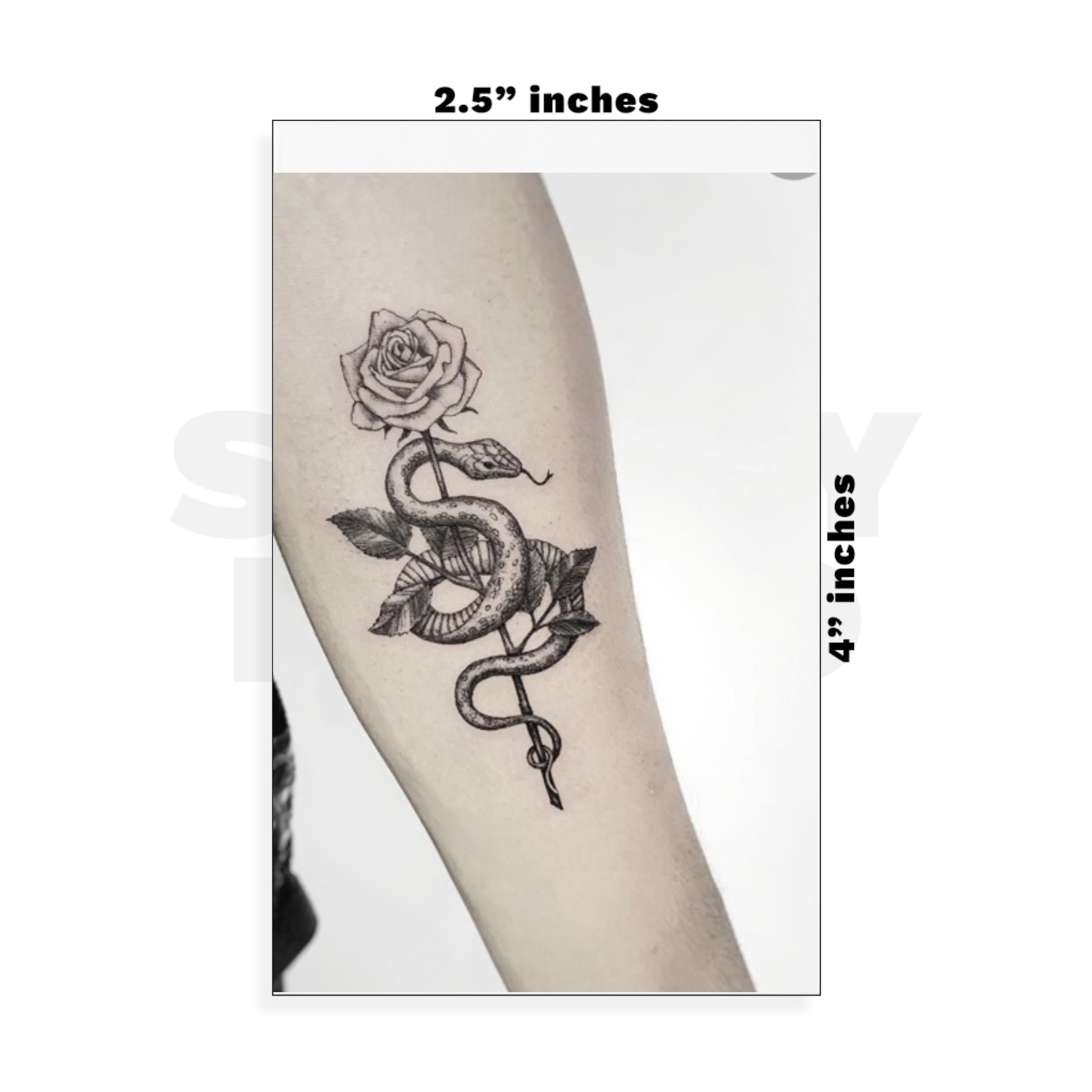 Custom Small - 2.5in x 4in