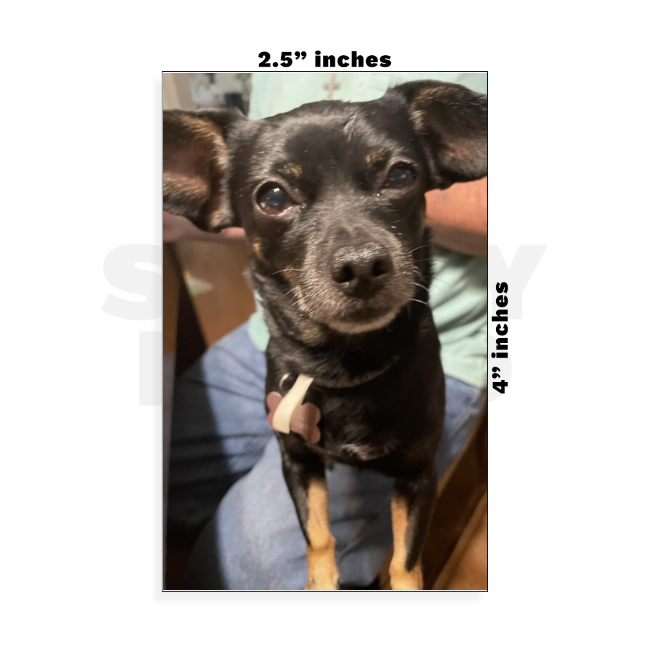 Custom Small - 2.5in x 4in