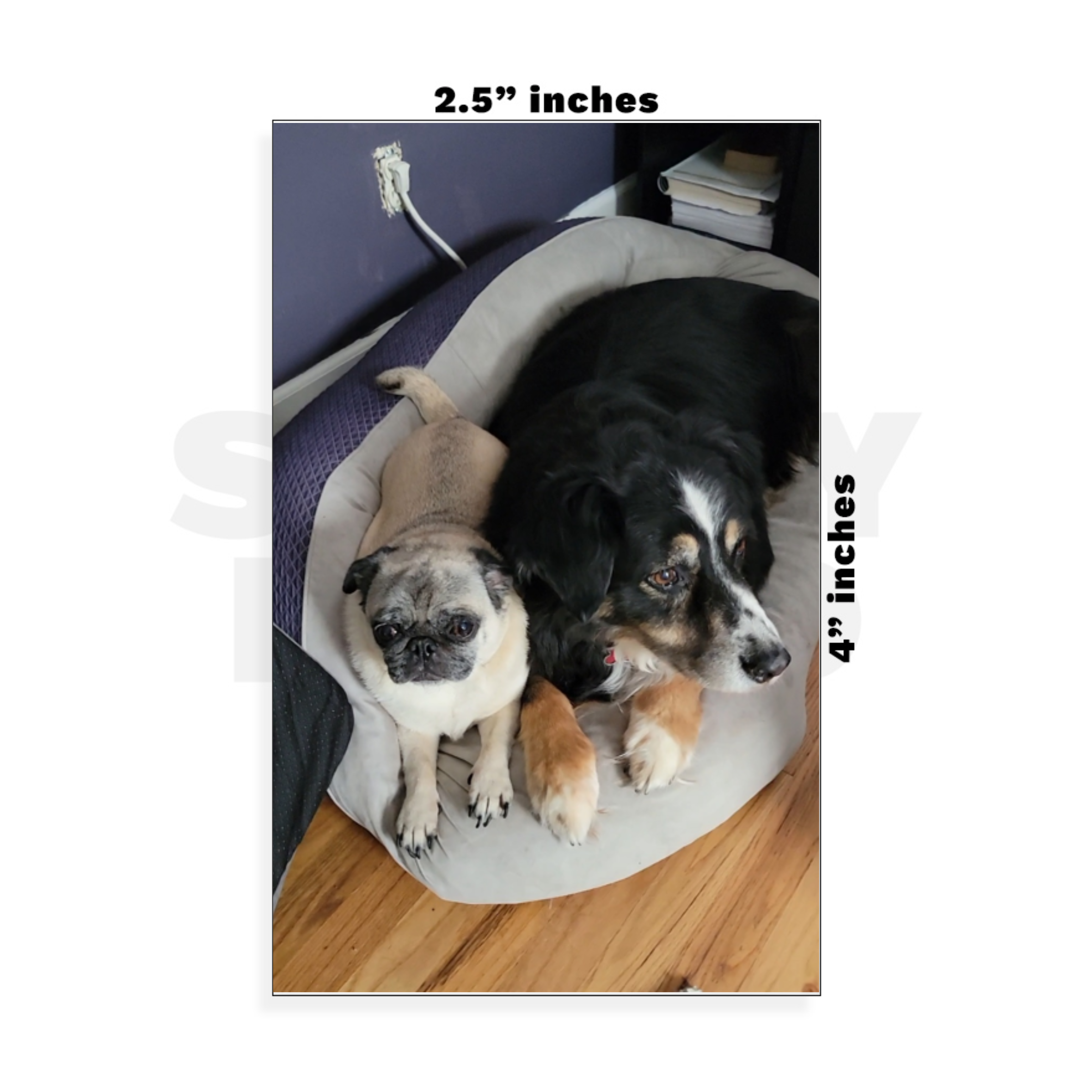 Custom Small - 2.5in x 4in