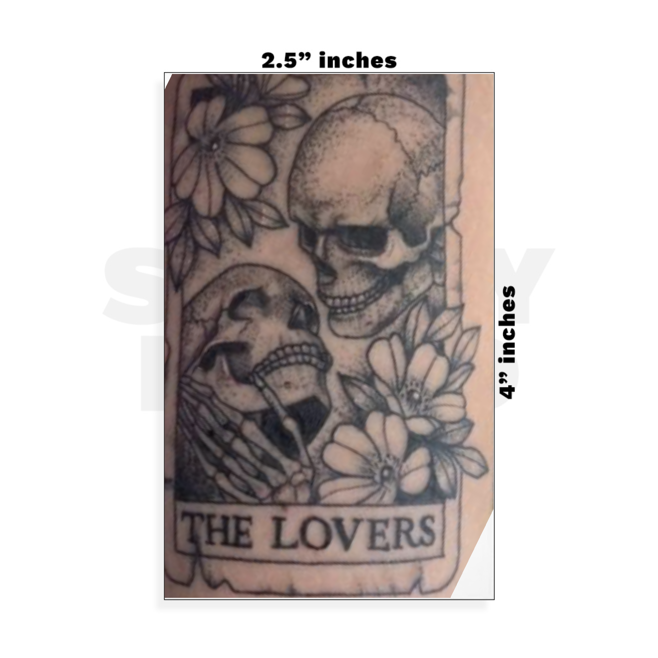 Custom Small - 2.5in x 4in