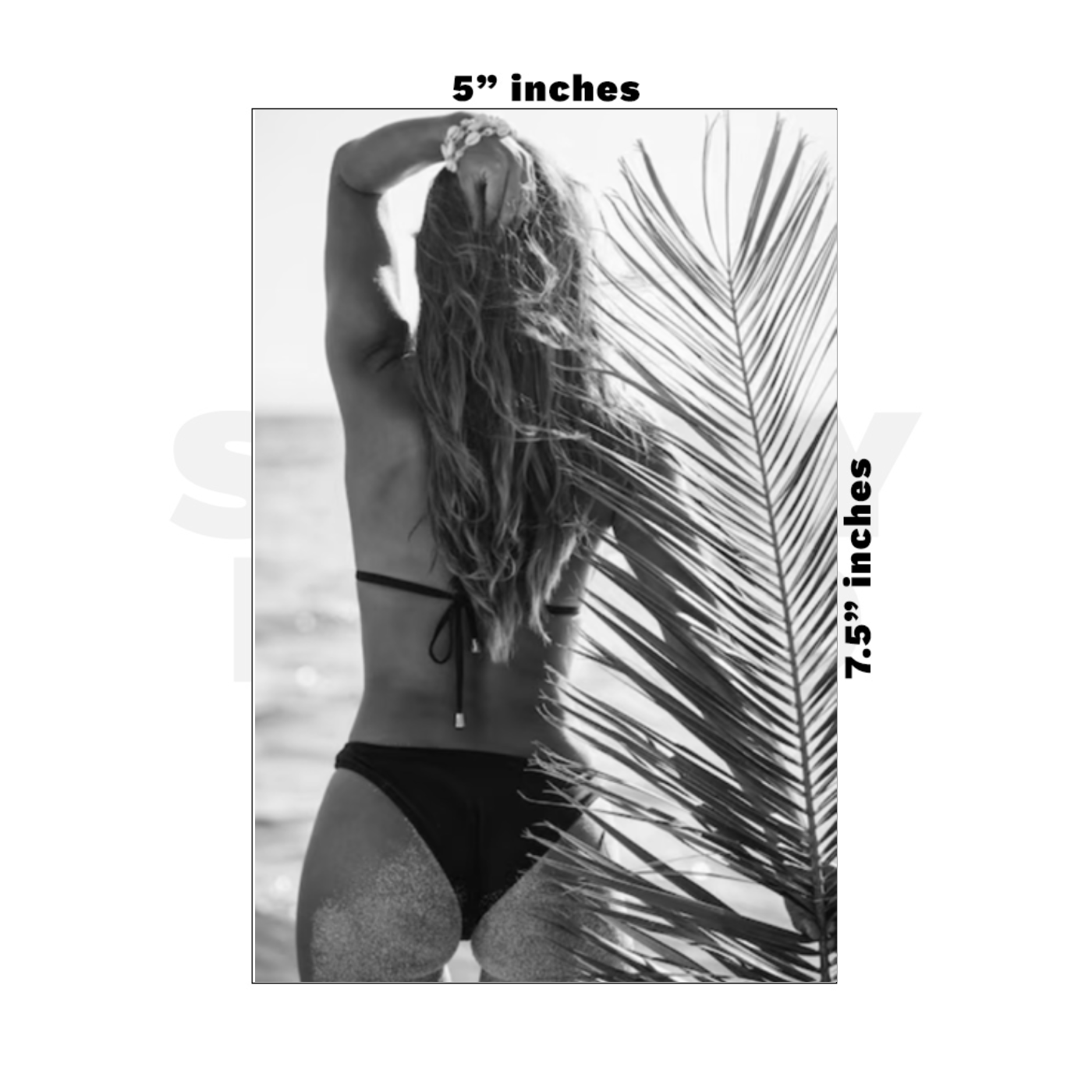 Custom Medium - 5in x 7.5in