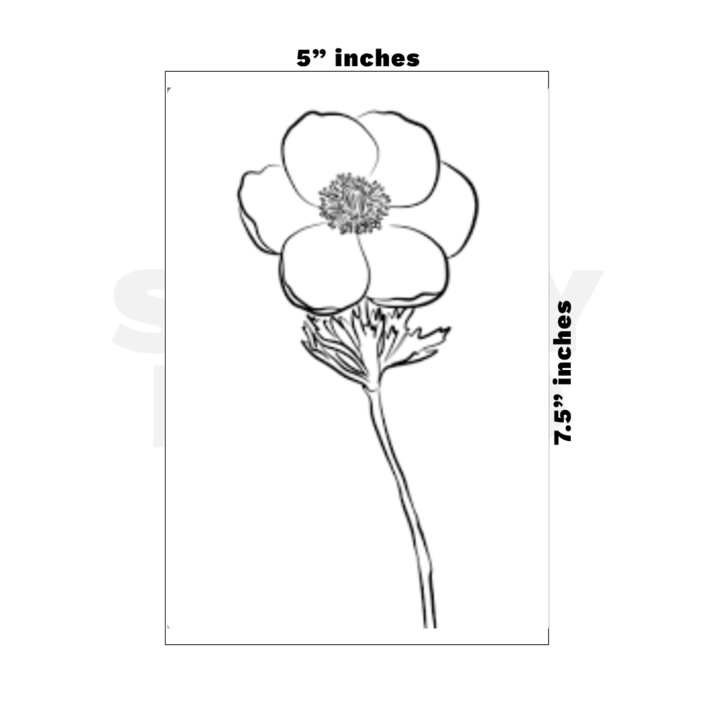 Custom Medium - 5in x 7.5in