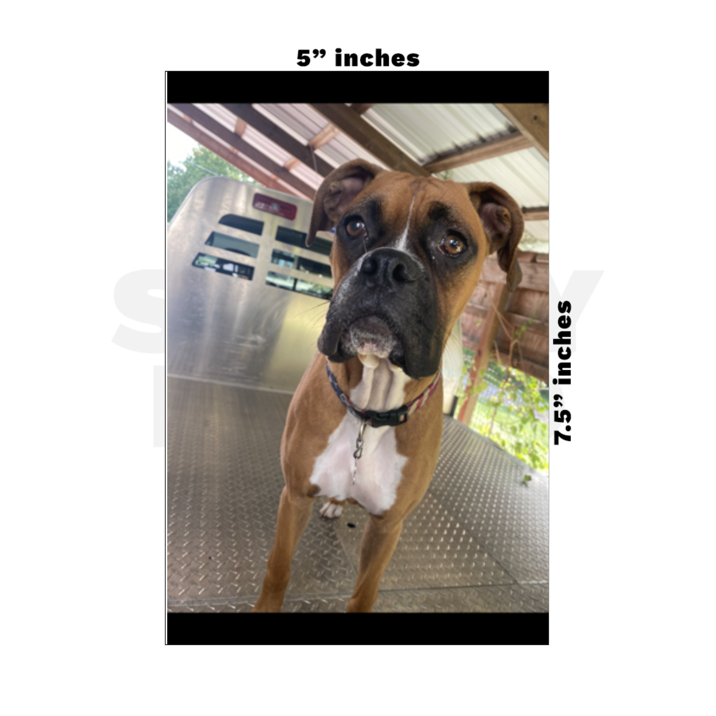 Custom Medium - 5in x 7.5in