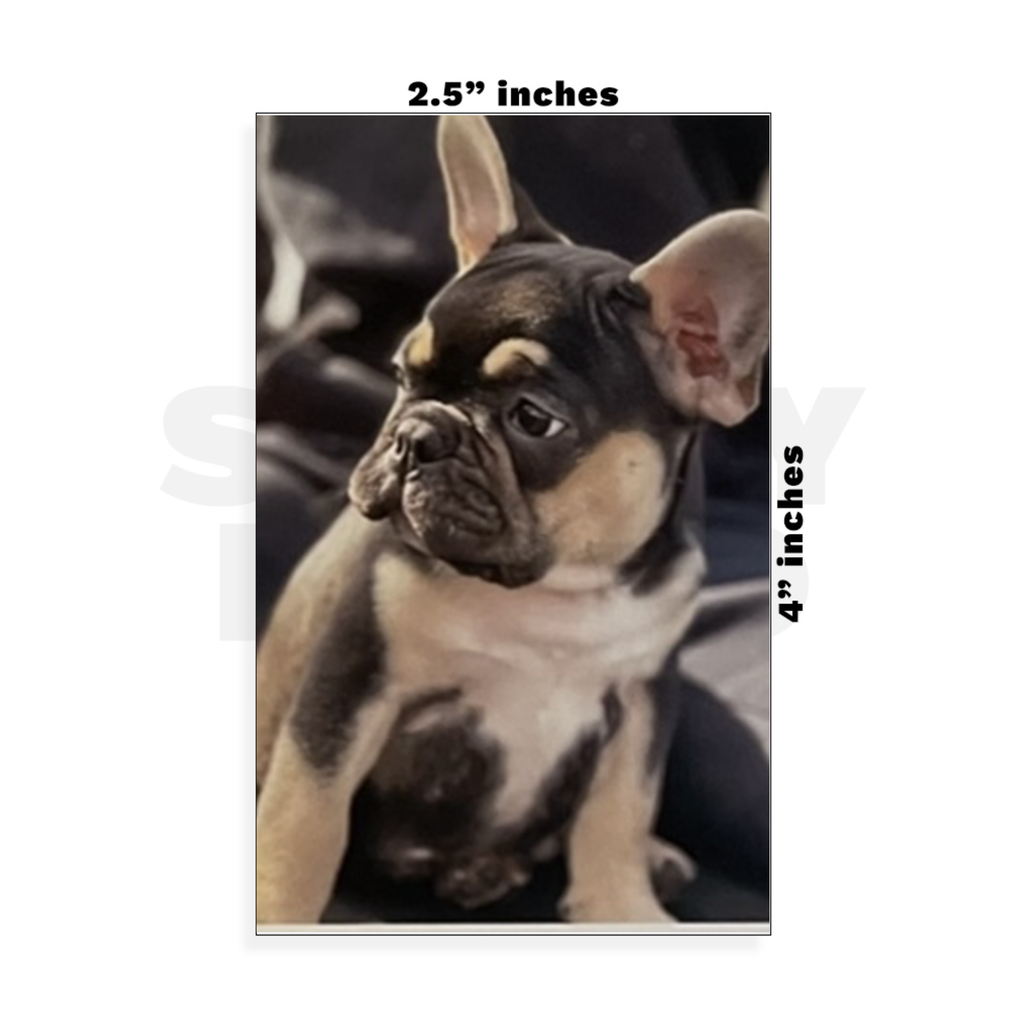 Custom Small - 2.5in x 4in