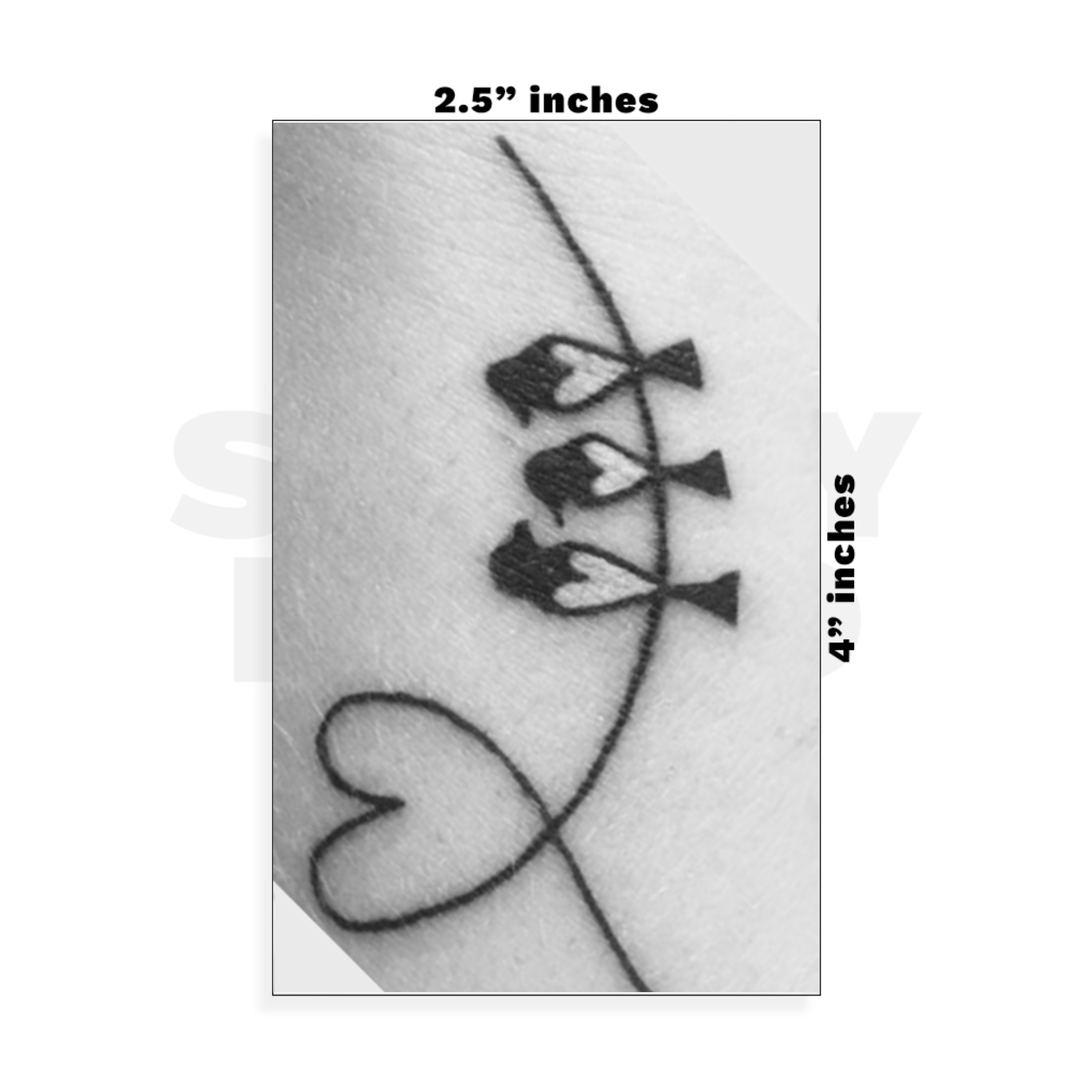 Custom Small - 2.5in x 4in