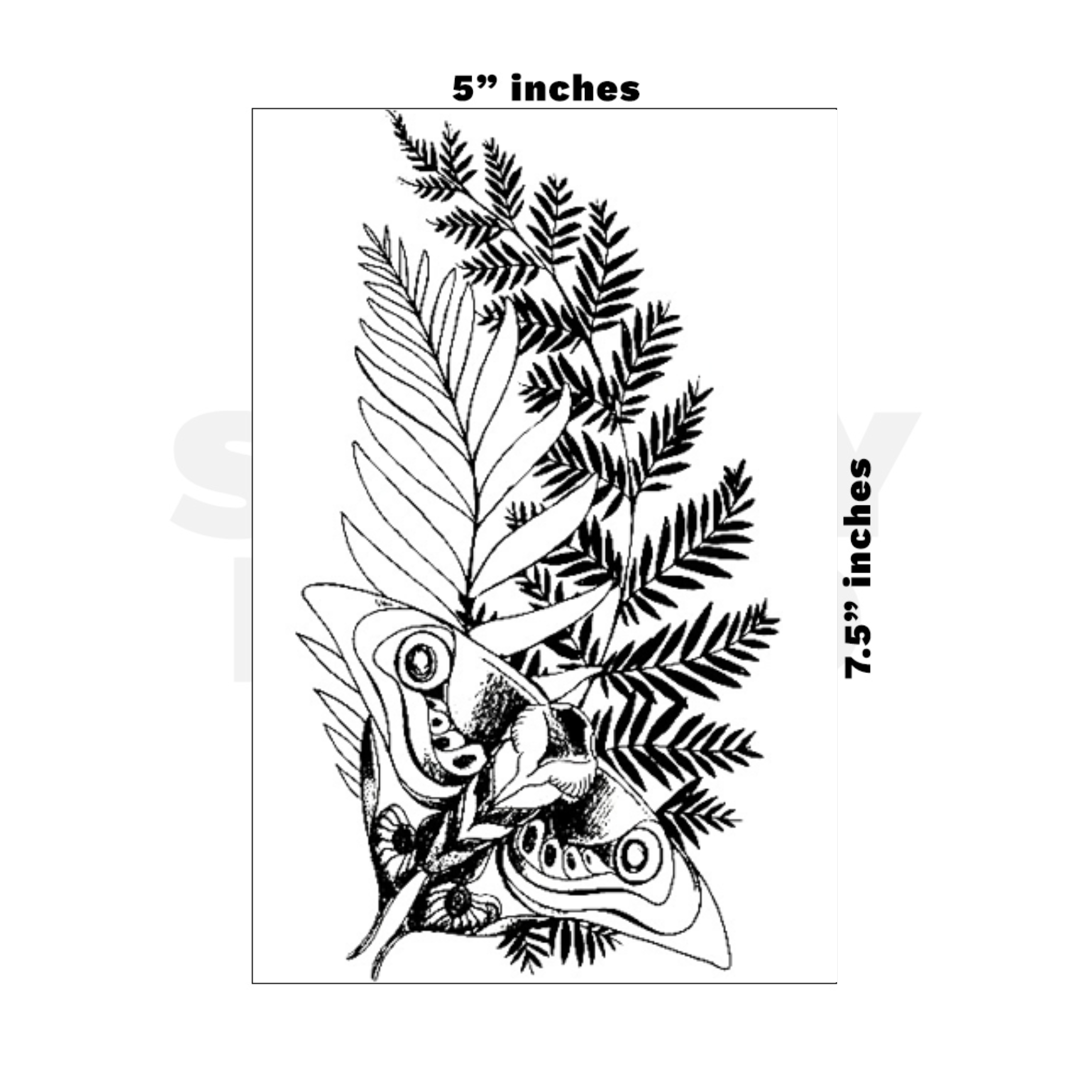 Custom Medium - 5in x 7.5in