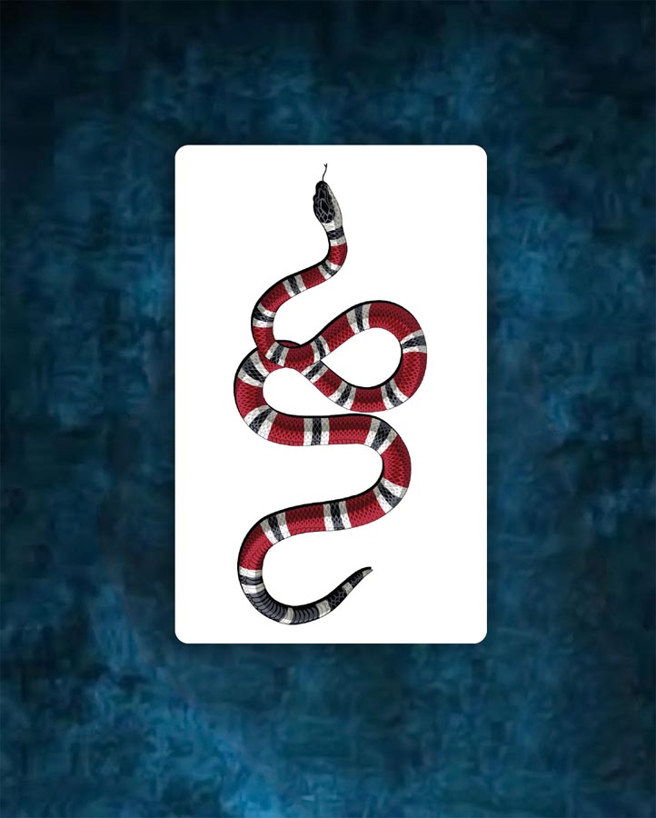 Designer Snake Tattoo