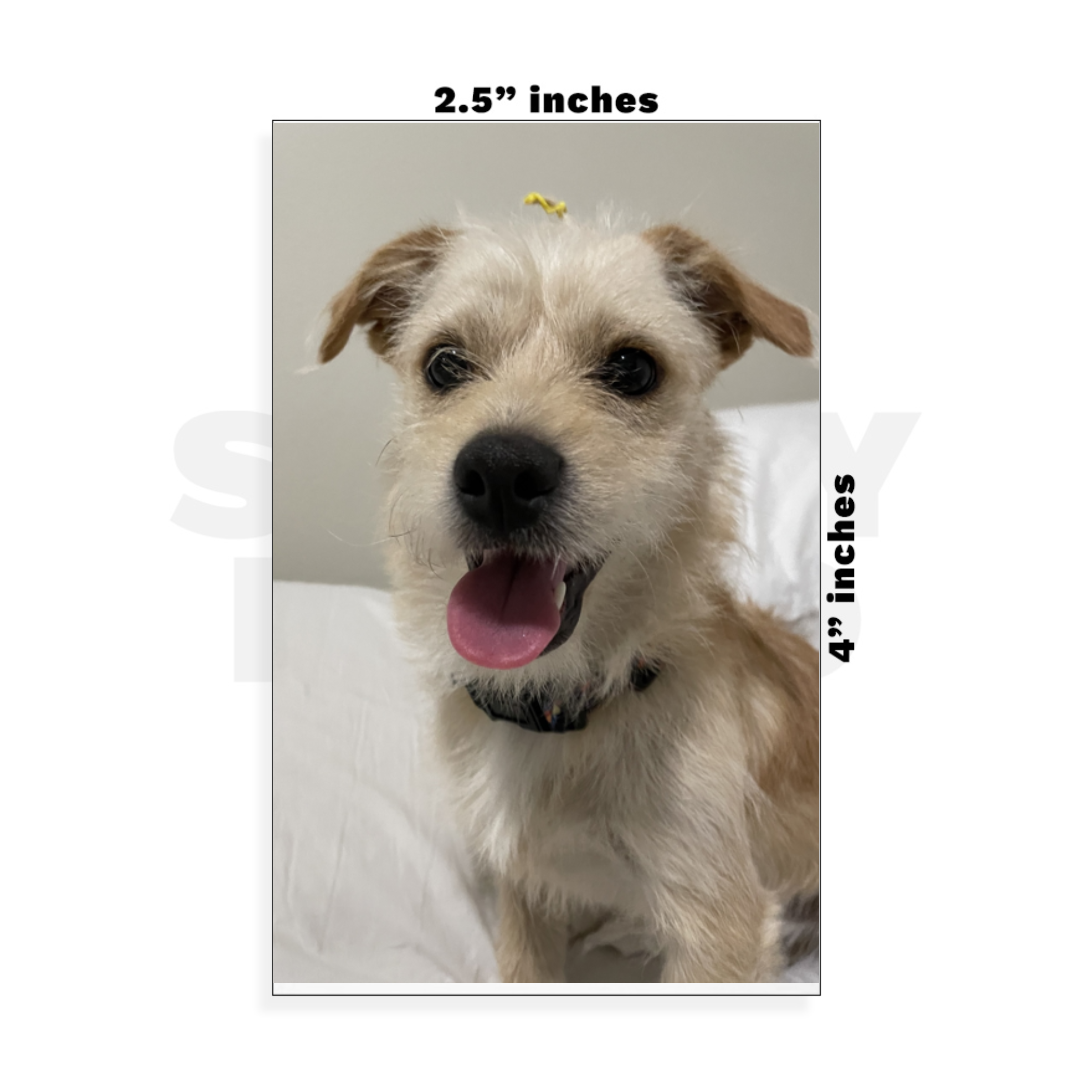 Custom Small - 2.5in x 4in